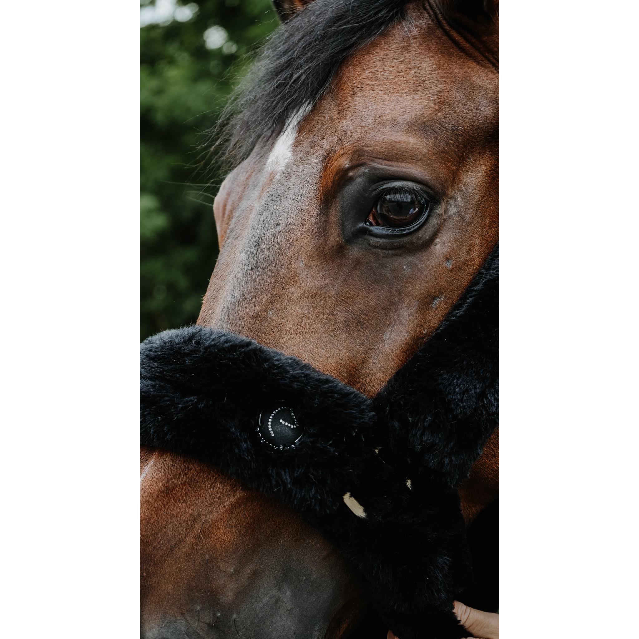 Je t'aime EQUITHÈME Snuggy Halter Black 510274302