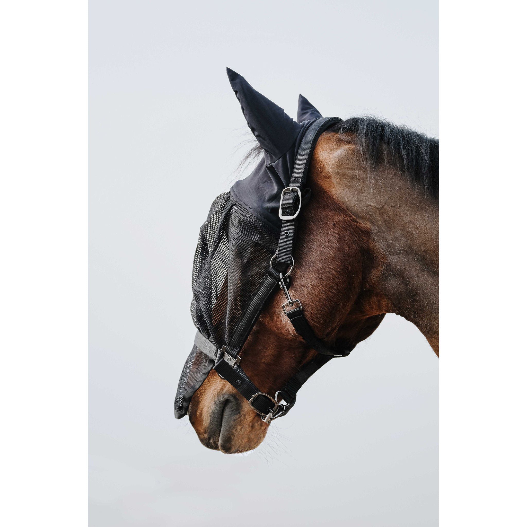EQUITHÈME Halter + fly mask Black 510062003