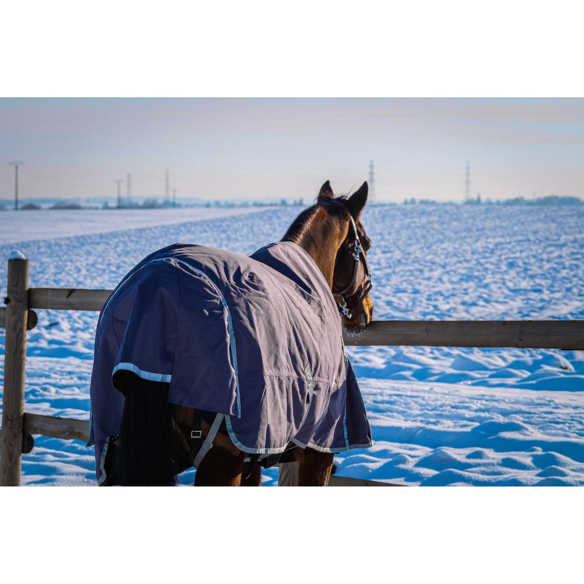 EQUITHÈME Tyrex 1200D Recycled turnout Rug - Standard Taupe 400759063