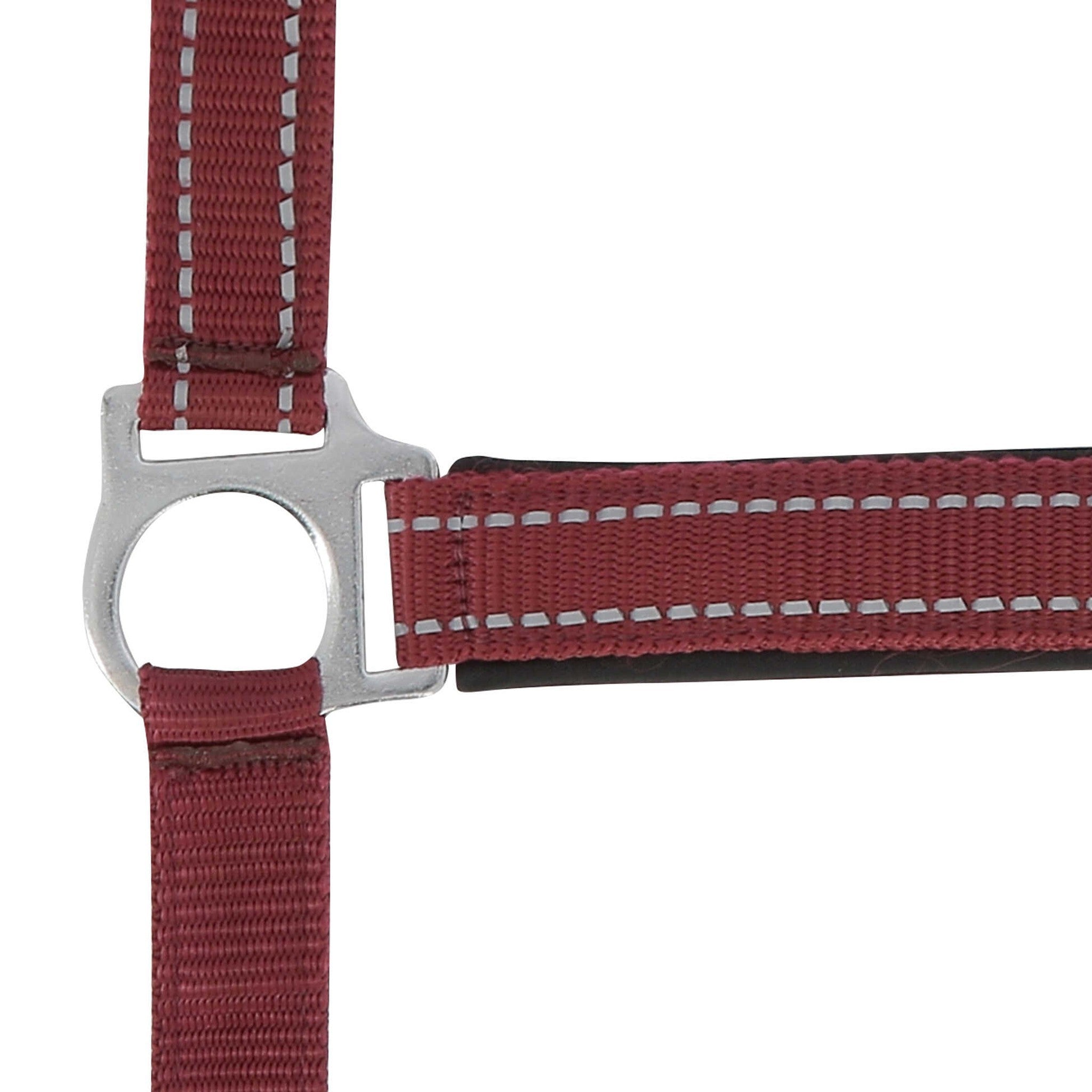 Norton Reflective halter Burgundy 510630333