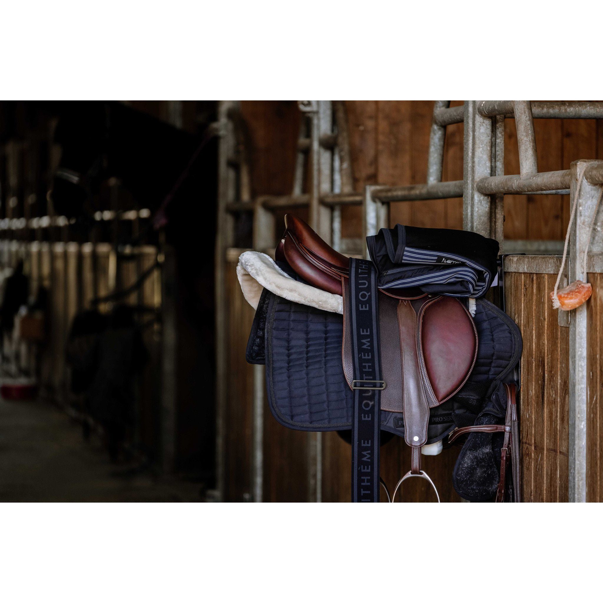 EQUITHÈME Heated Back Cover Black 981500202