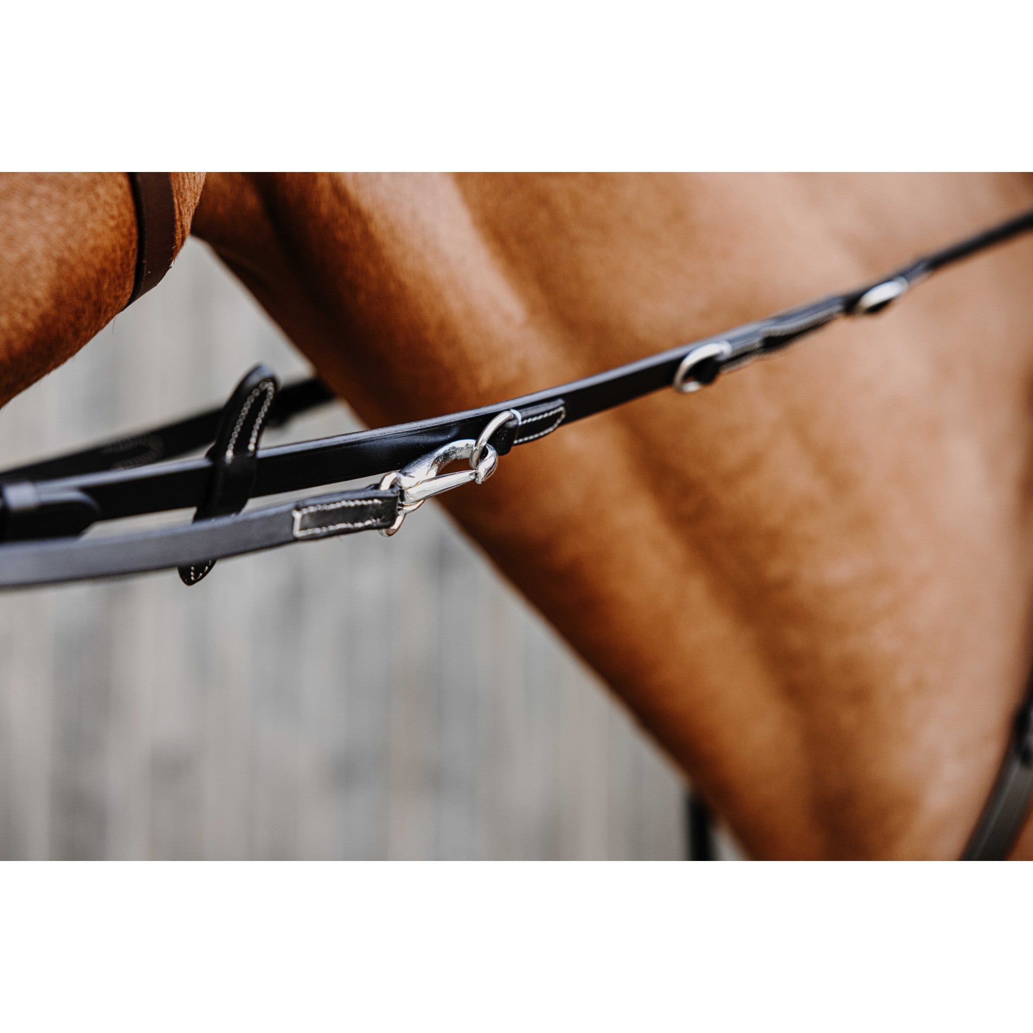Norton Pro Thiedeman side reins Black 306426102