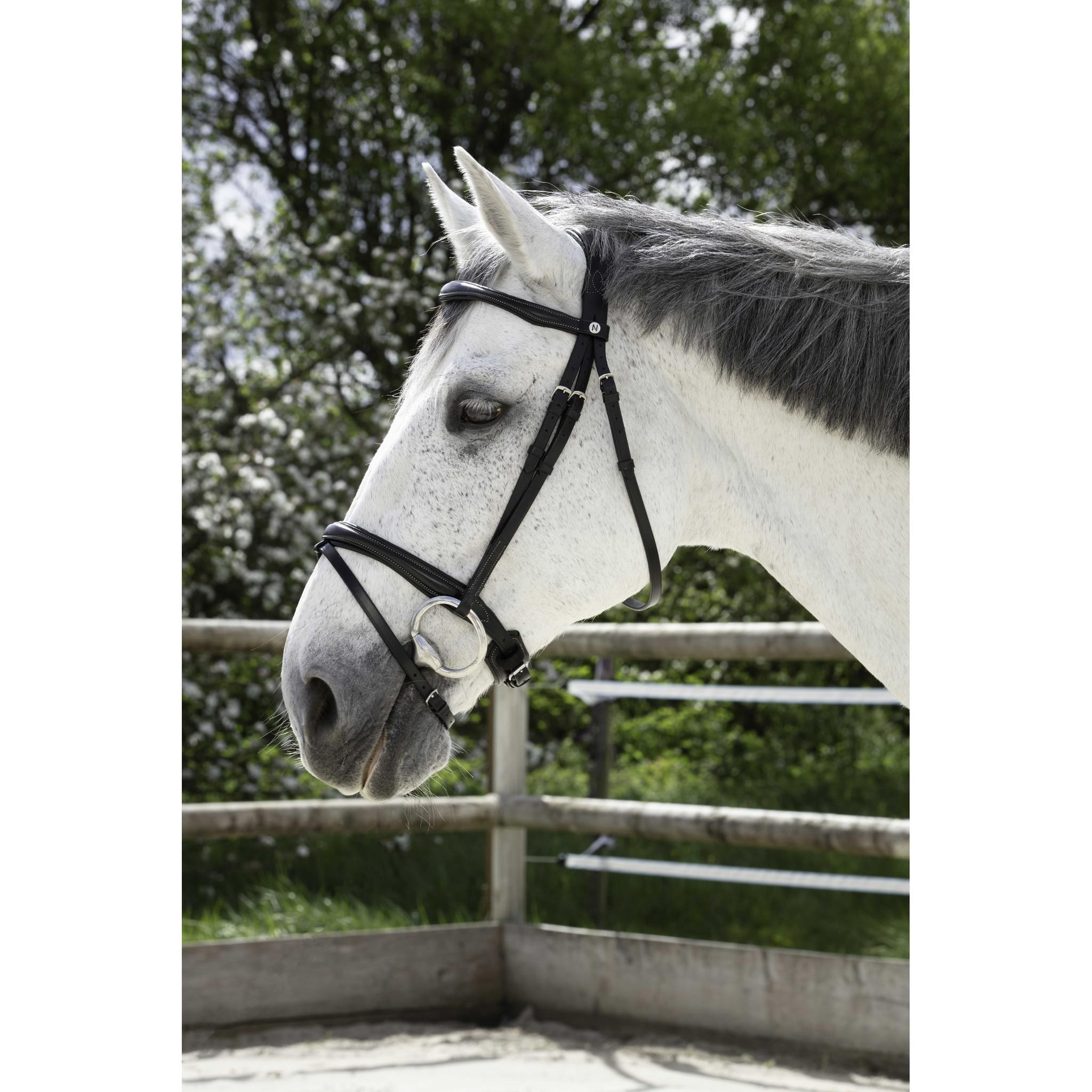 Bridle Norton Pro Combined Black 301829302