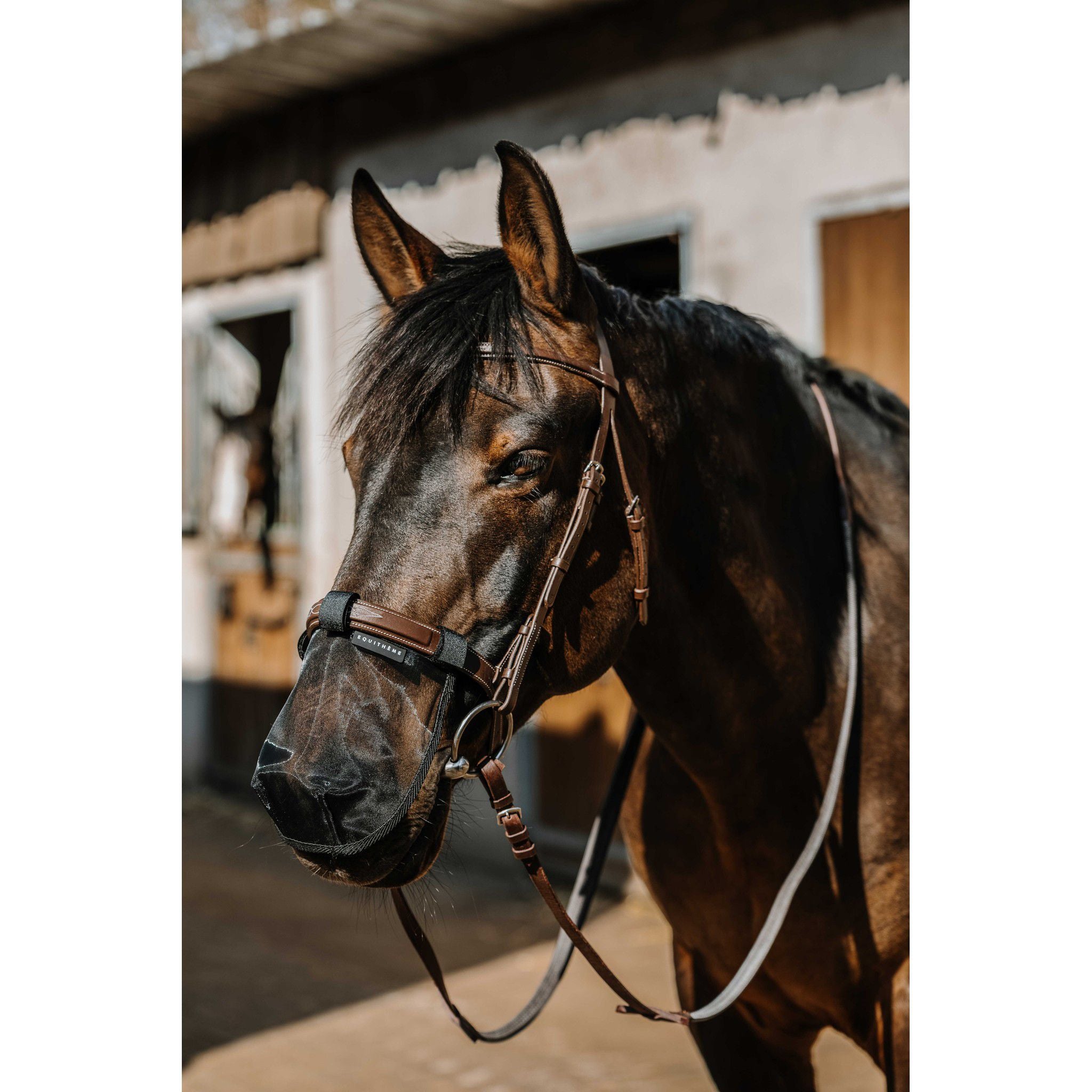 EQUITHÈME UV Nose Protection Black 306036203
