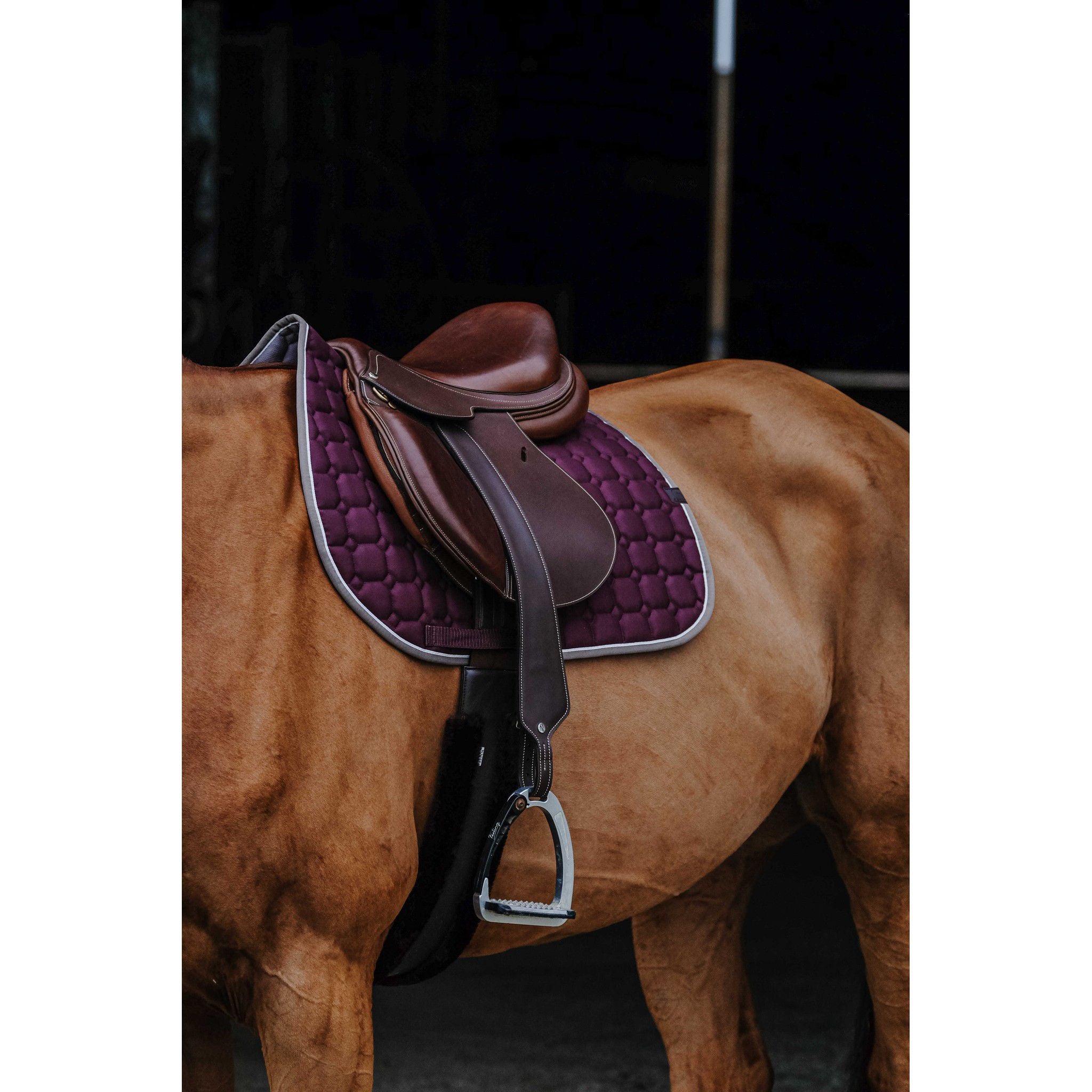 EQUITHÈME Orion saddle pad - All purpose Plum 204774034