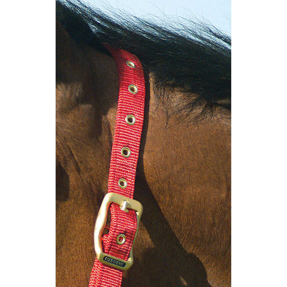EQUITHÈME Nylon Halter - Red - 510100003_ambi_2