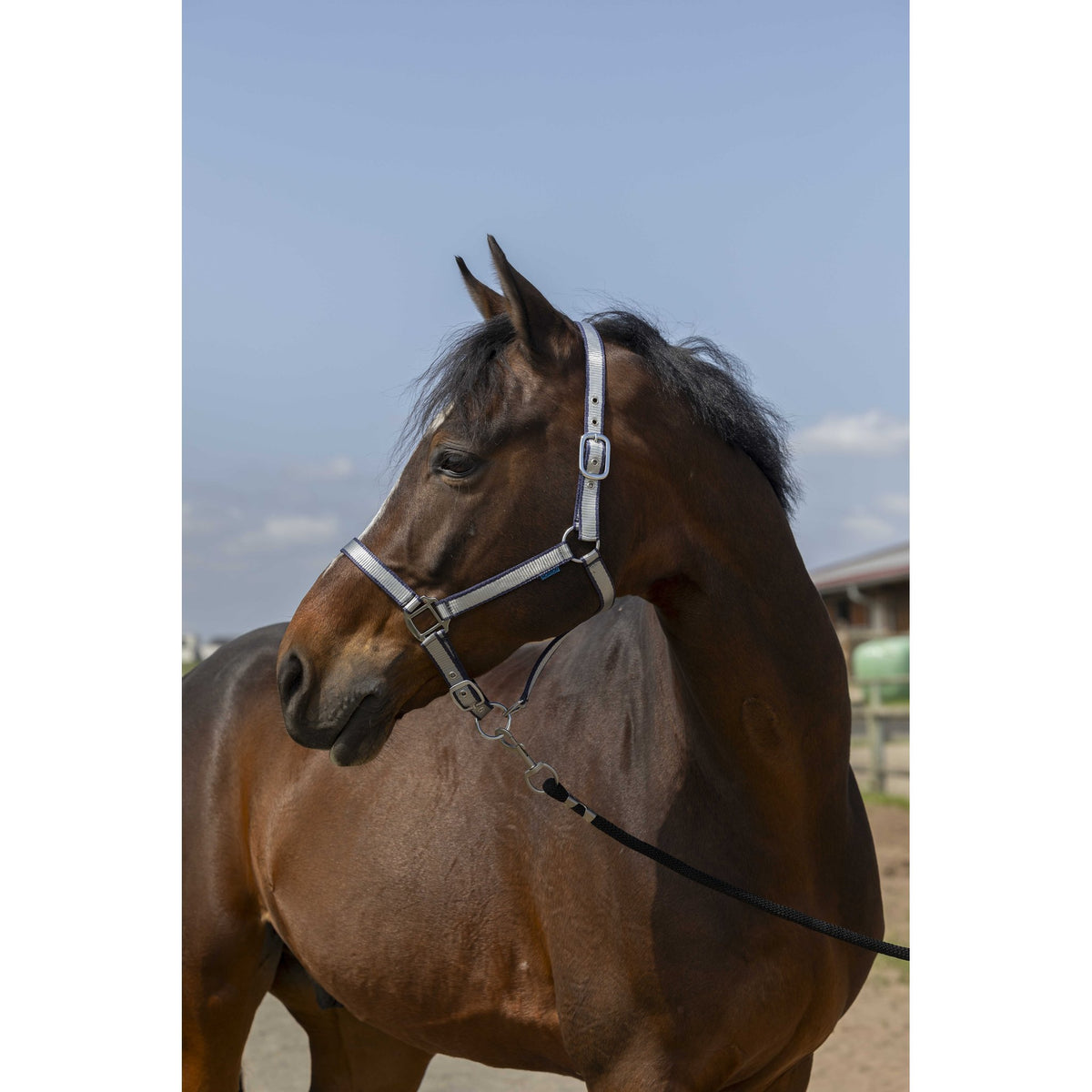 Norton Nylon Soft Halter - Navy blue - 510244307_ambi_1