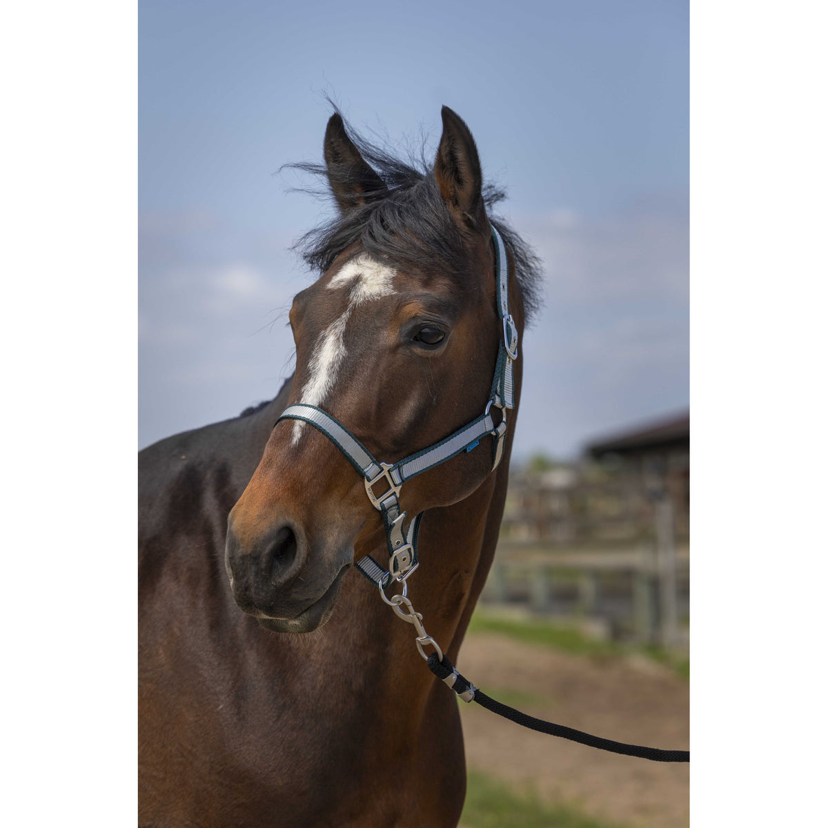 Norton Nylon Soft Halter - Dark green - 510244309_ambi_1