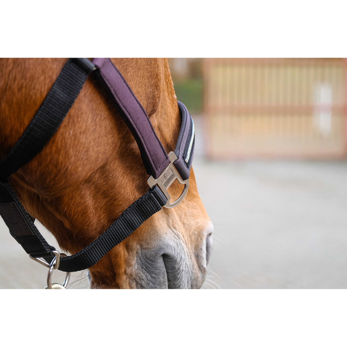 EQUITHÈME Domino Halter - Purple - 510256015_ambi_4