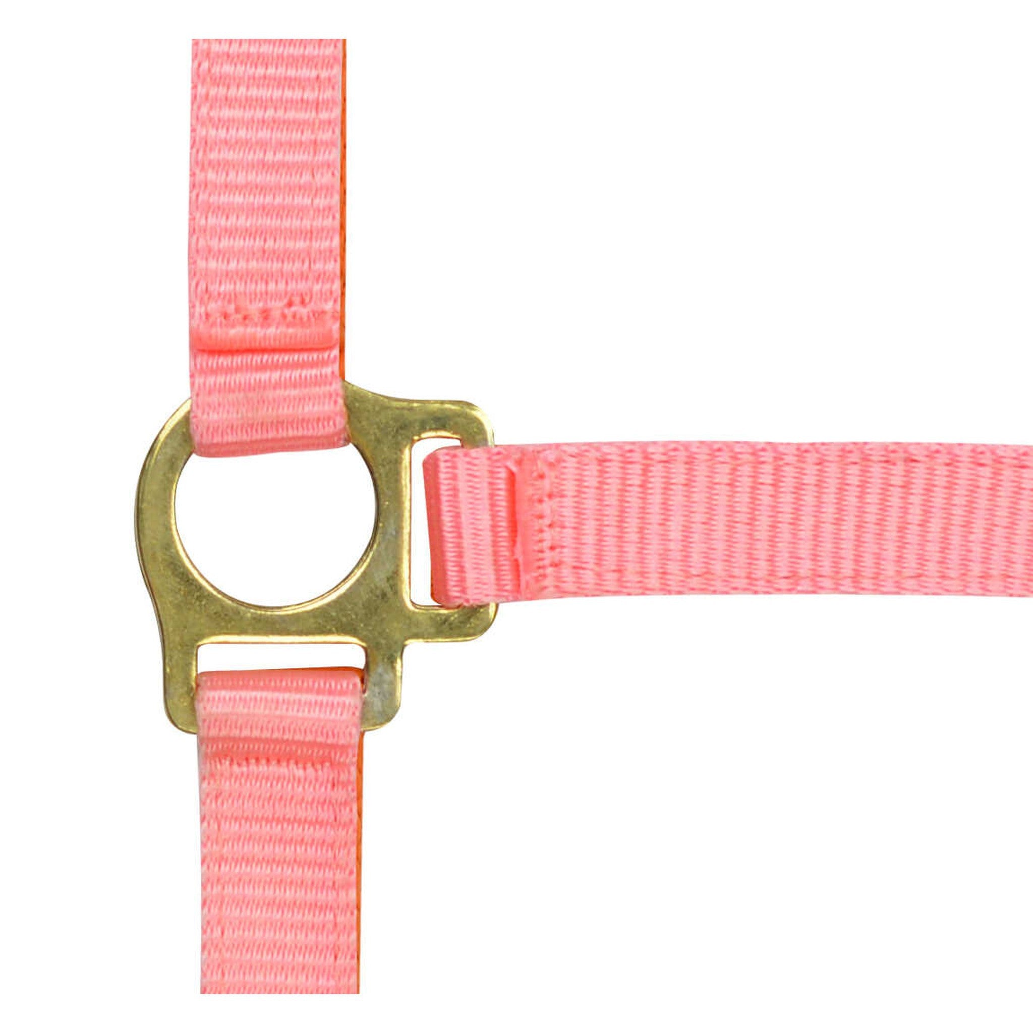 Norton Nylon halter foal Pink 510038016