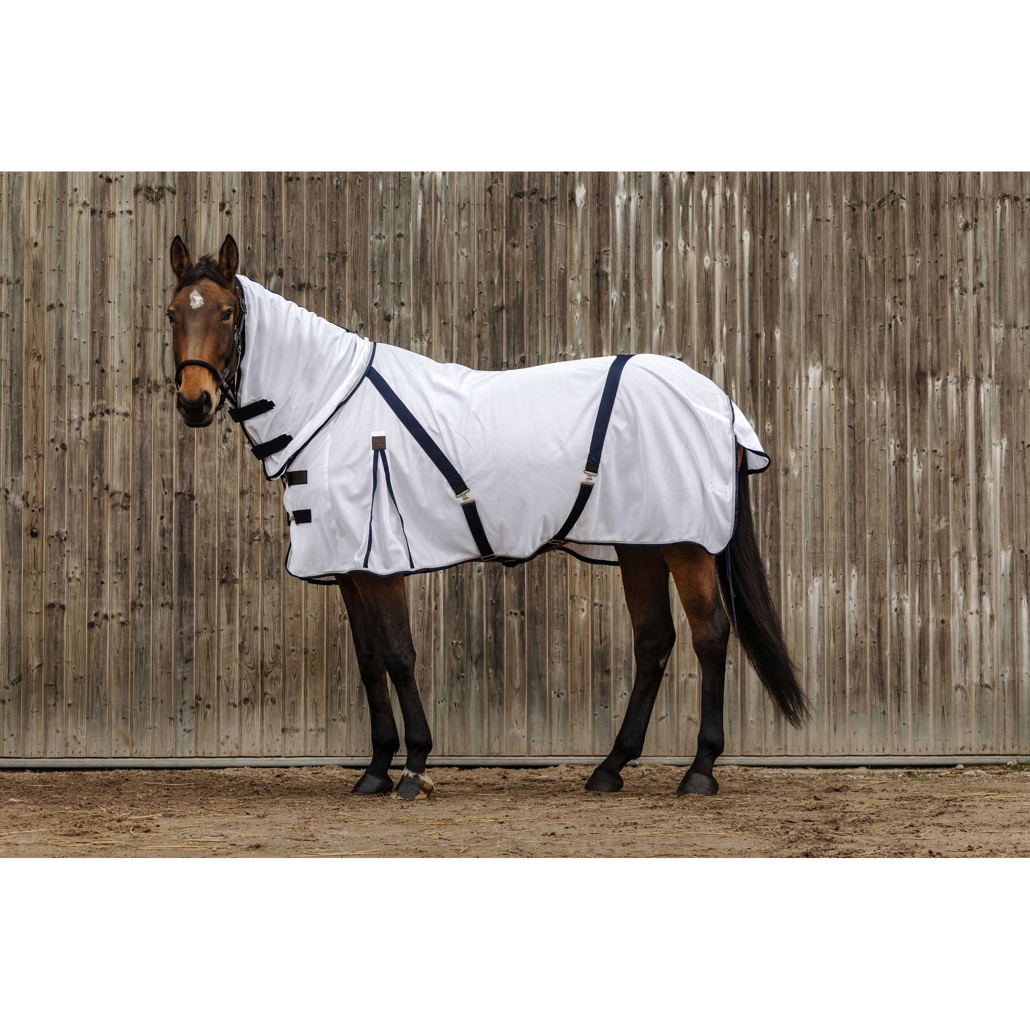 EQUITHÈME Mesh Sheet - Combo White 400350063