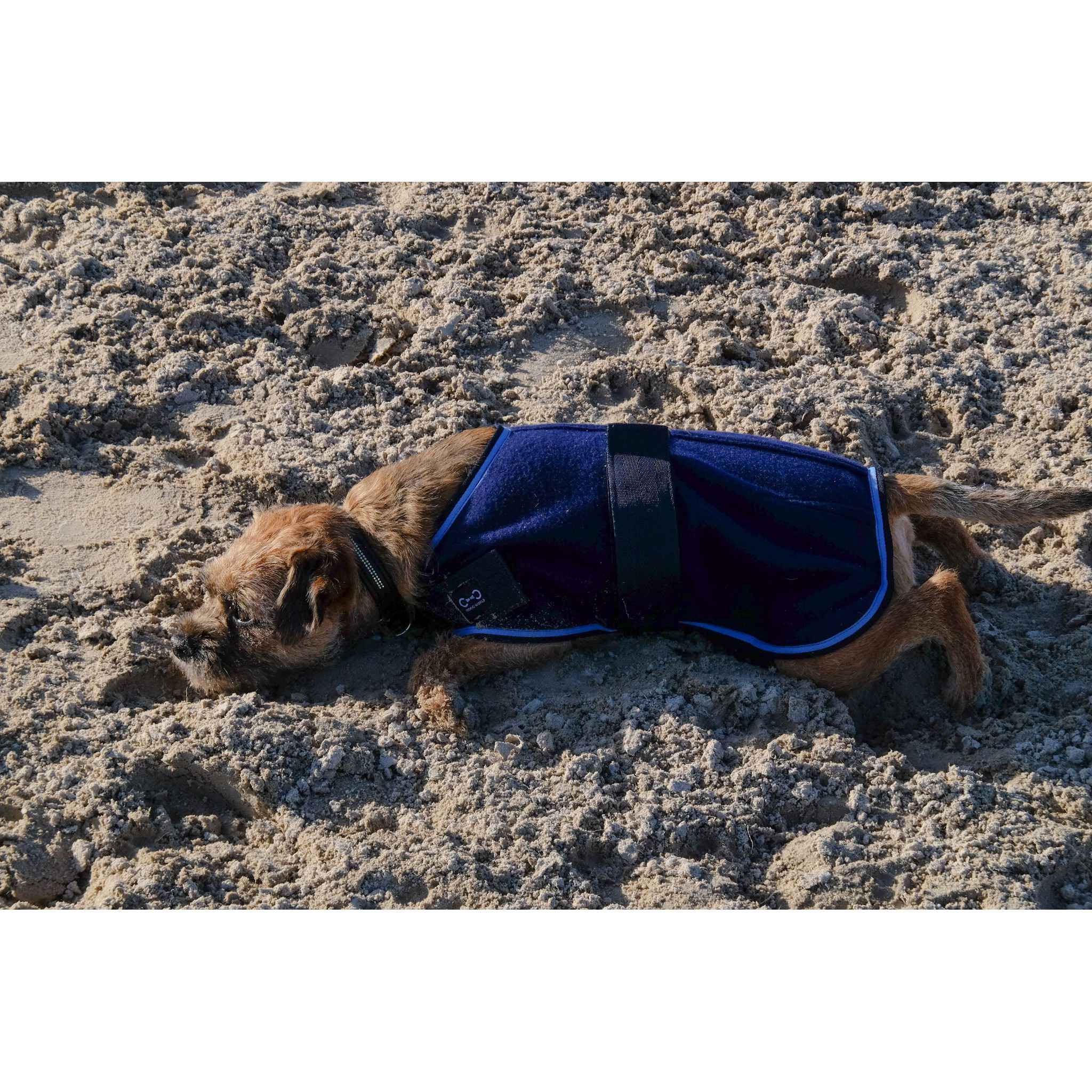Riding World Fleece Dog rug Navy blue 409099760