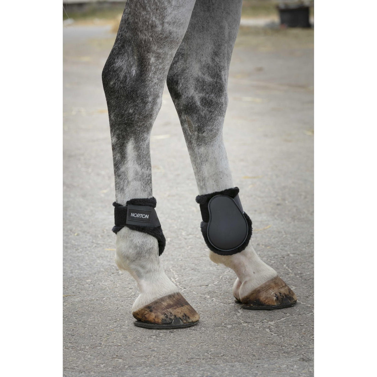 Norton Fleece Fetlock Boots - Black - 530115002_ambi_1
