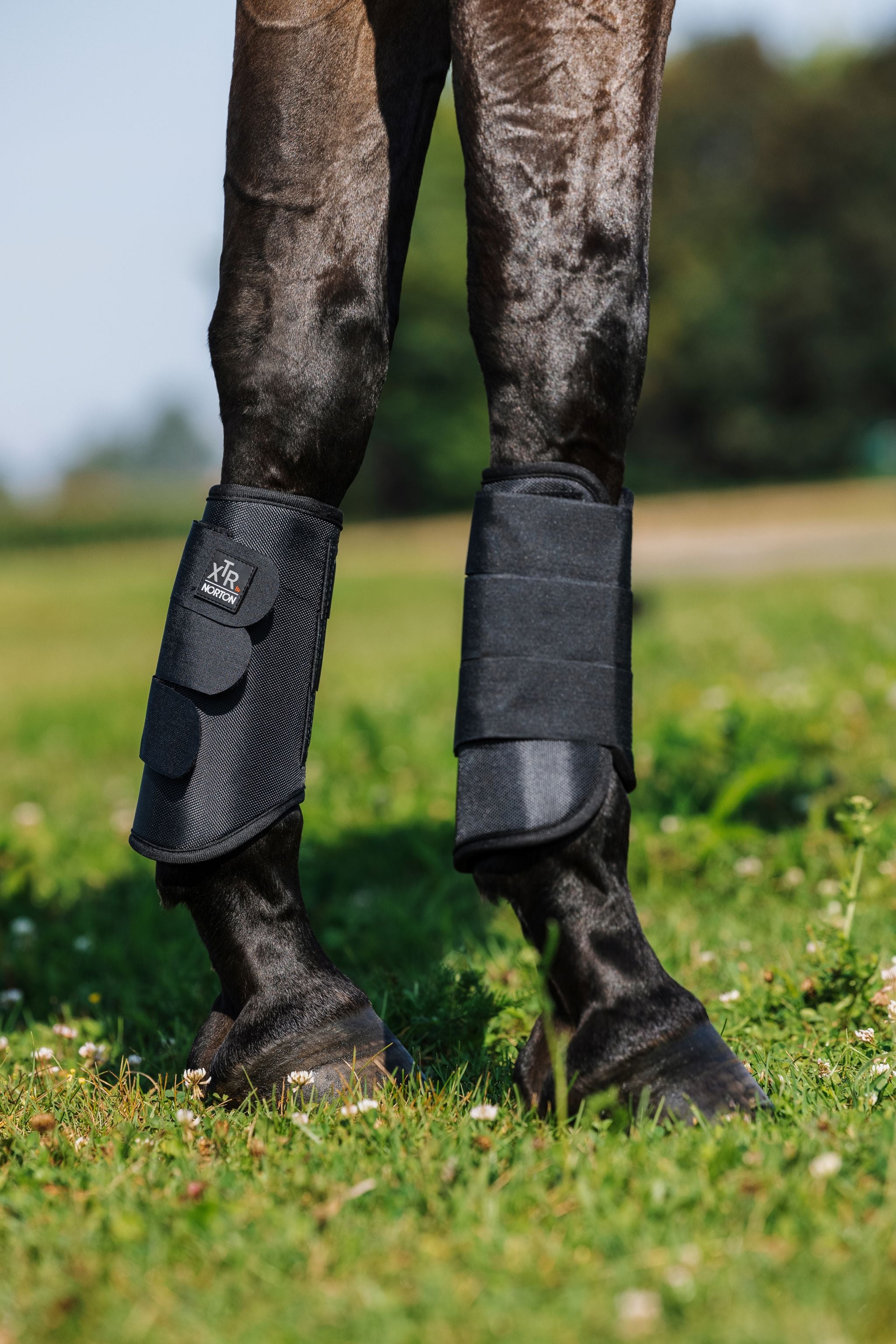 Norton XTR 1680D Cross-Country Forelegs Tendon Boots Black