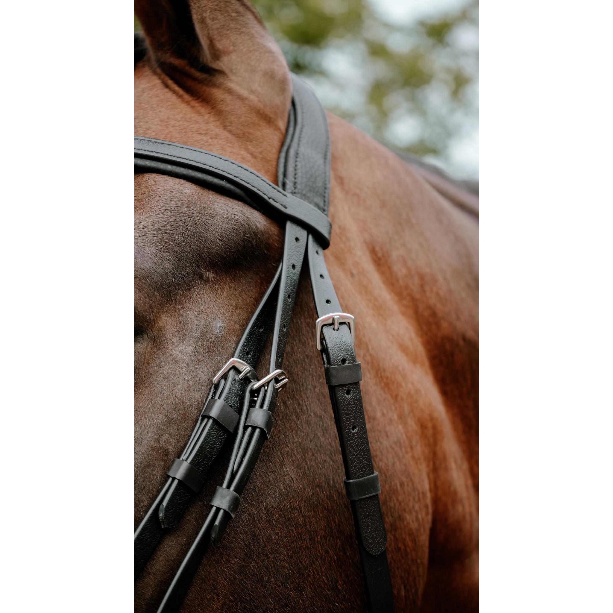Norton Pop Bridle Black 301928302