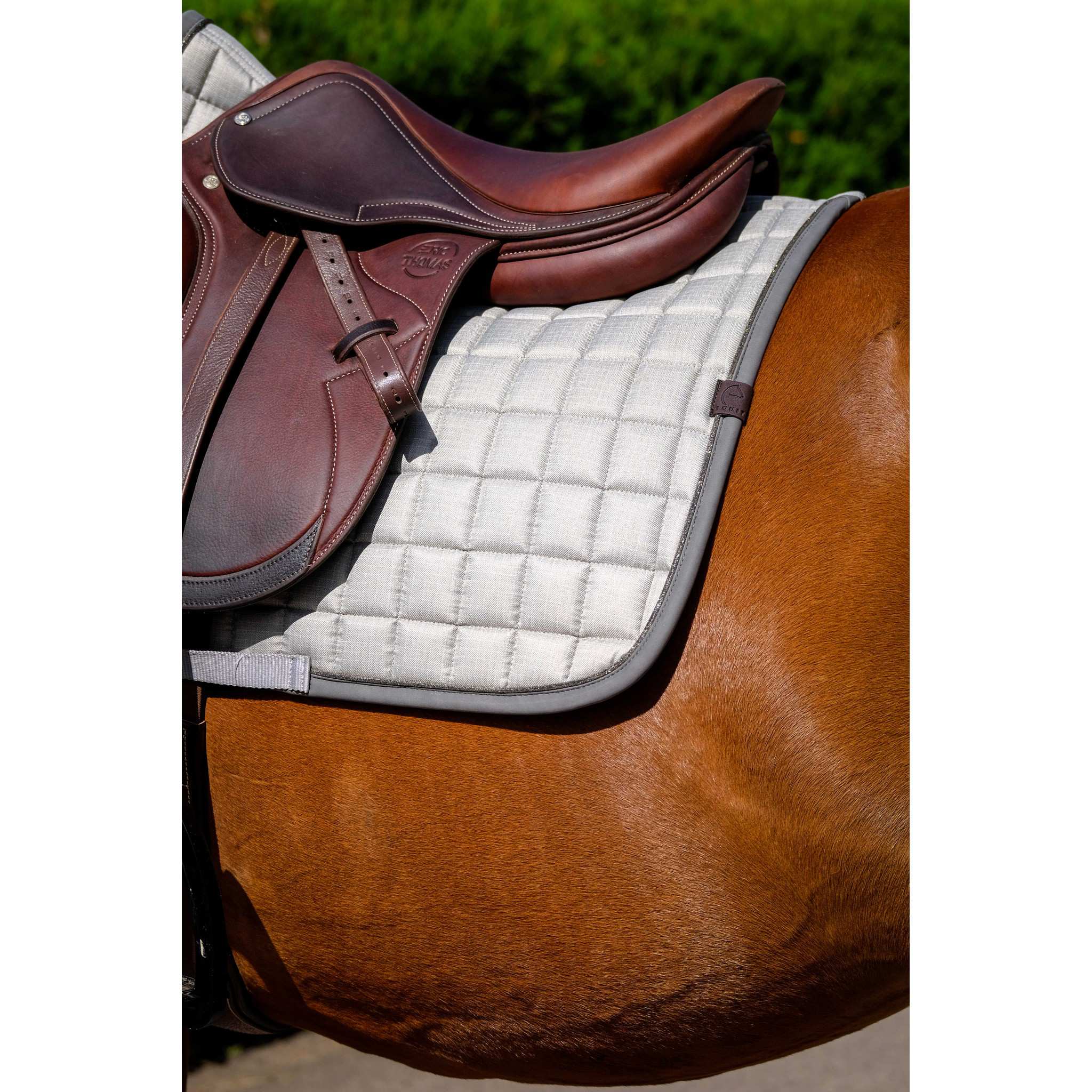 EQUITHÈME Chic saddle pad - All purpose Light grey 204001021