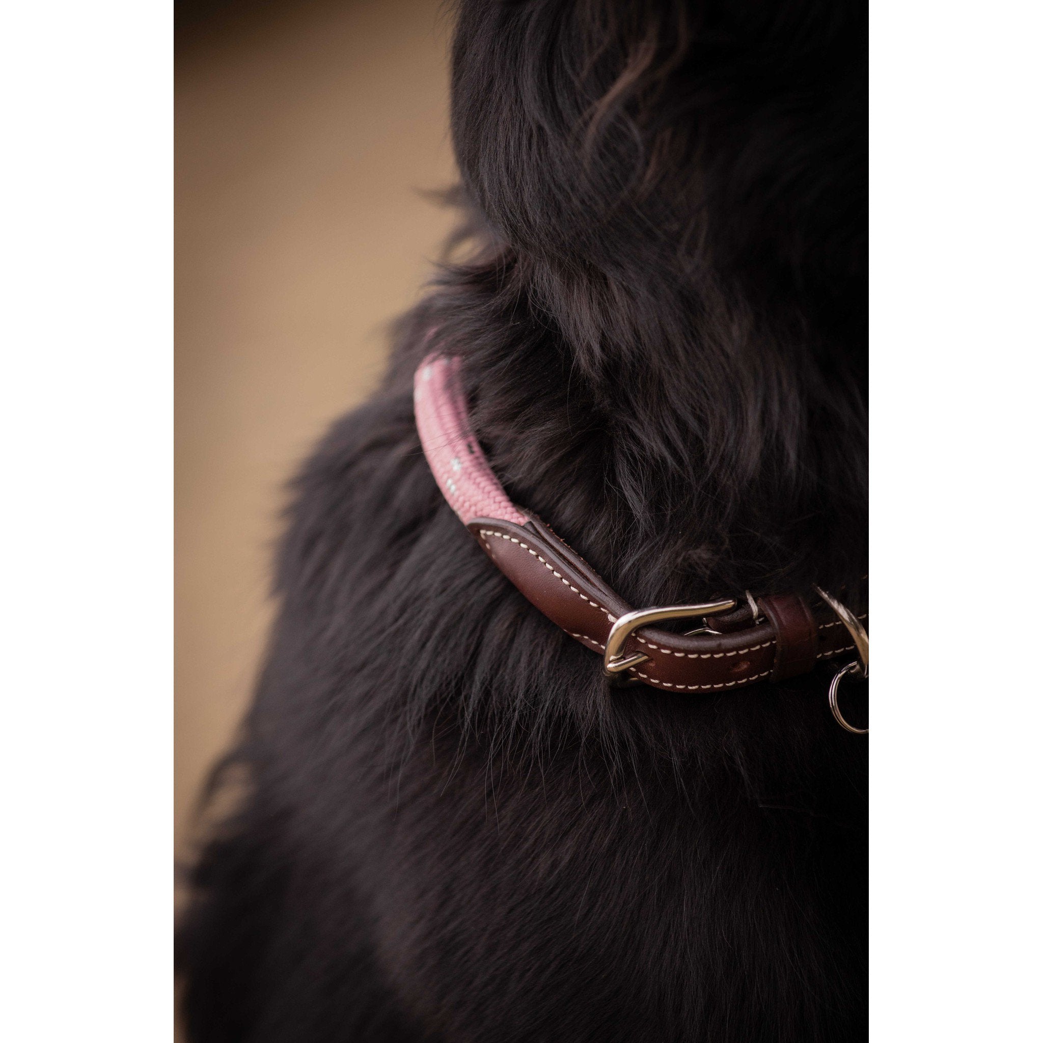 Pénélope Billie Dog Collar Pink 409826440