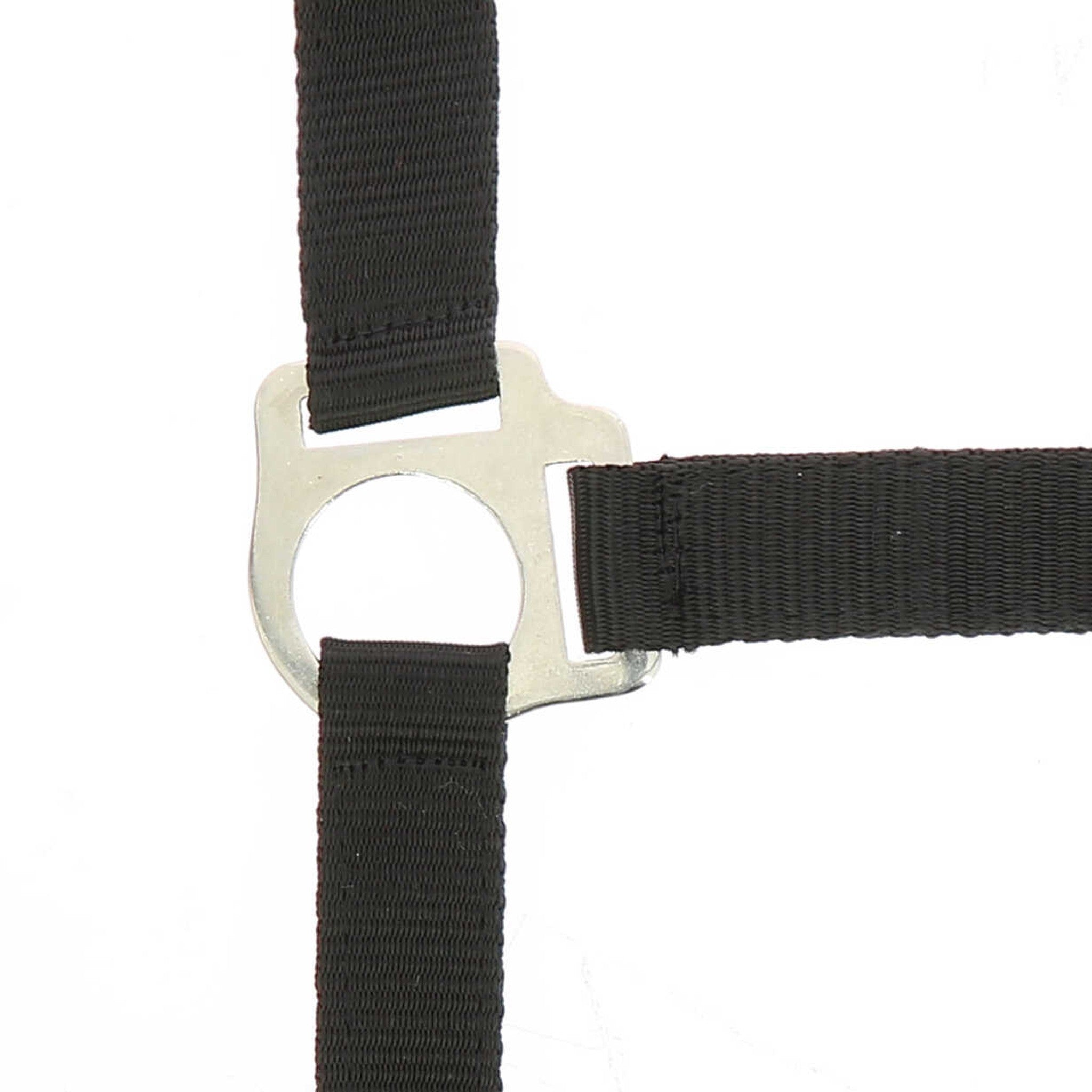 Riding World Club Headcollar and leadrope set Black 510118302