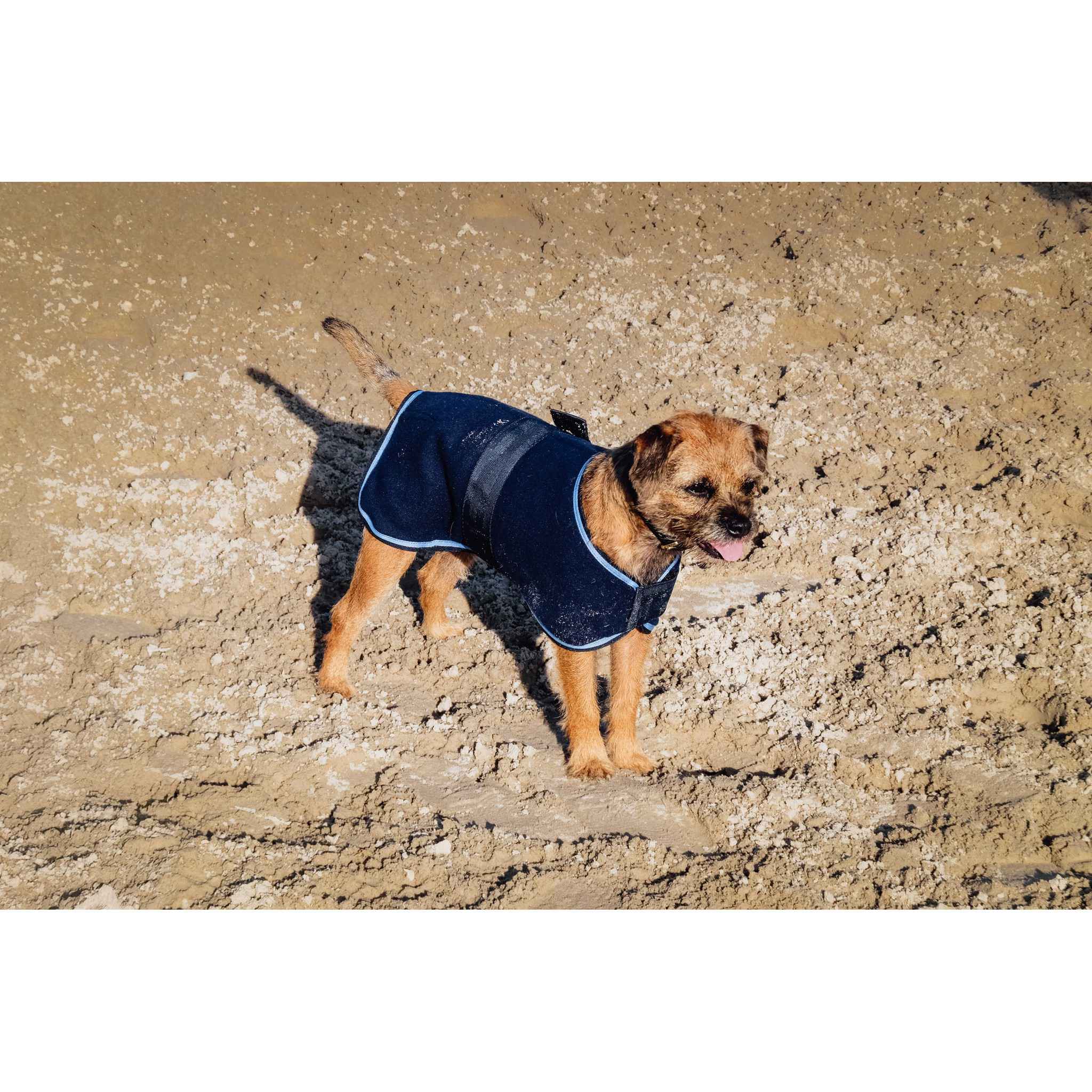 Riding World Fleece Dog rug Navy blue 409099760