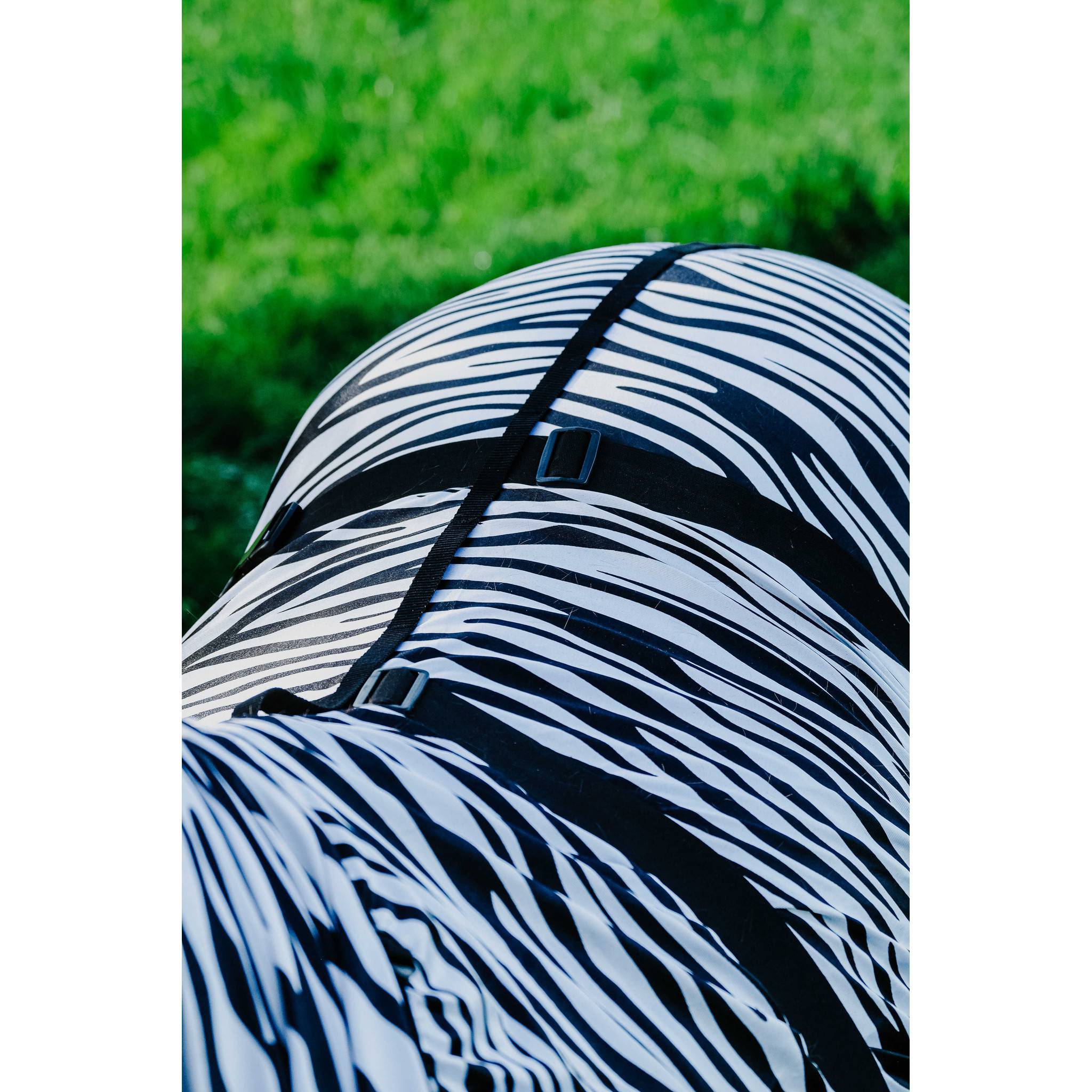 Riding World Anti-Eczema zebra Sheet Zebra 400708050