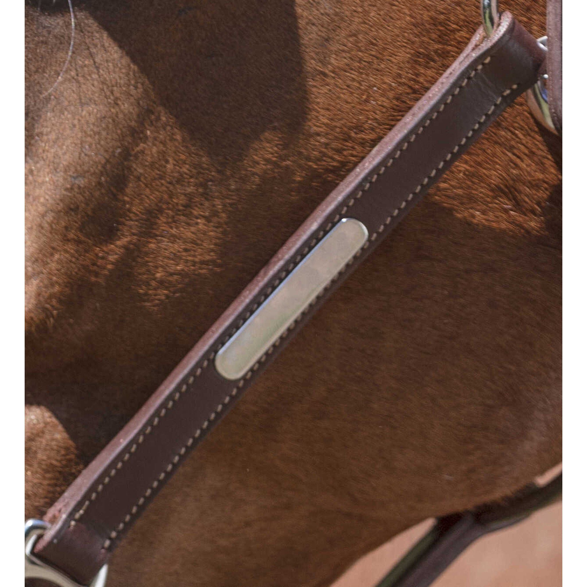 Norton Pro Grooming Leather halter Havana 510306318