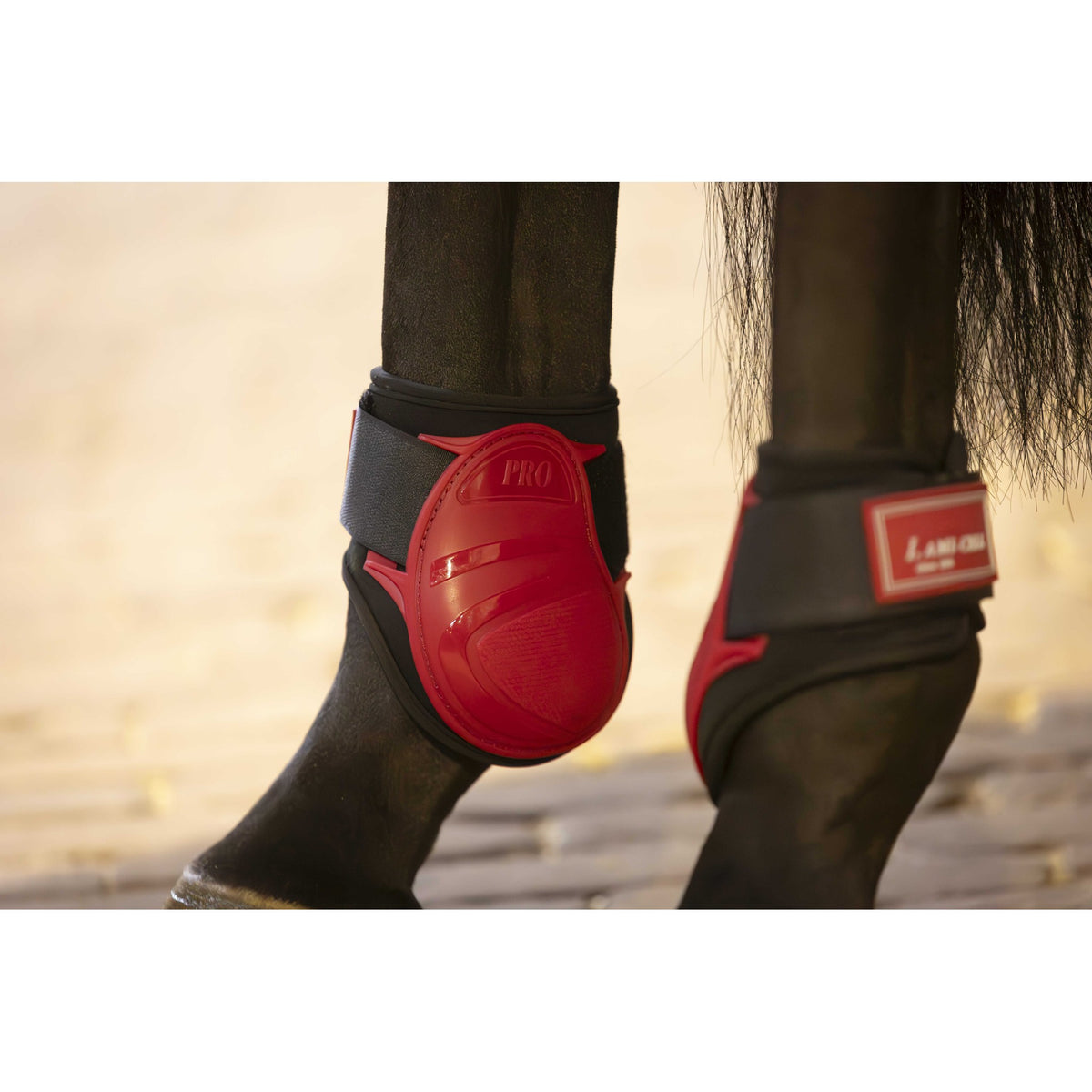 Lami-Cell Elite Boots and Fetlock Protectors - Red - 550141303_ambi_2