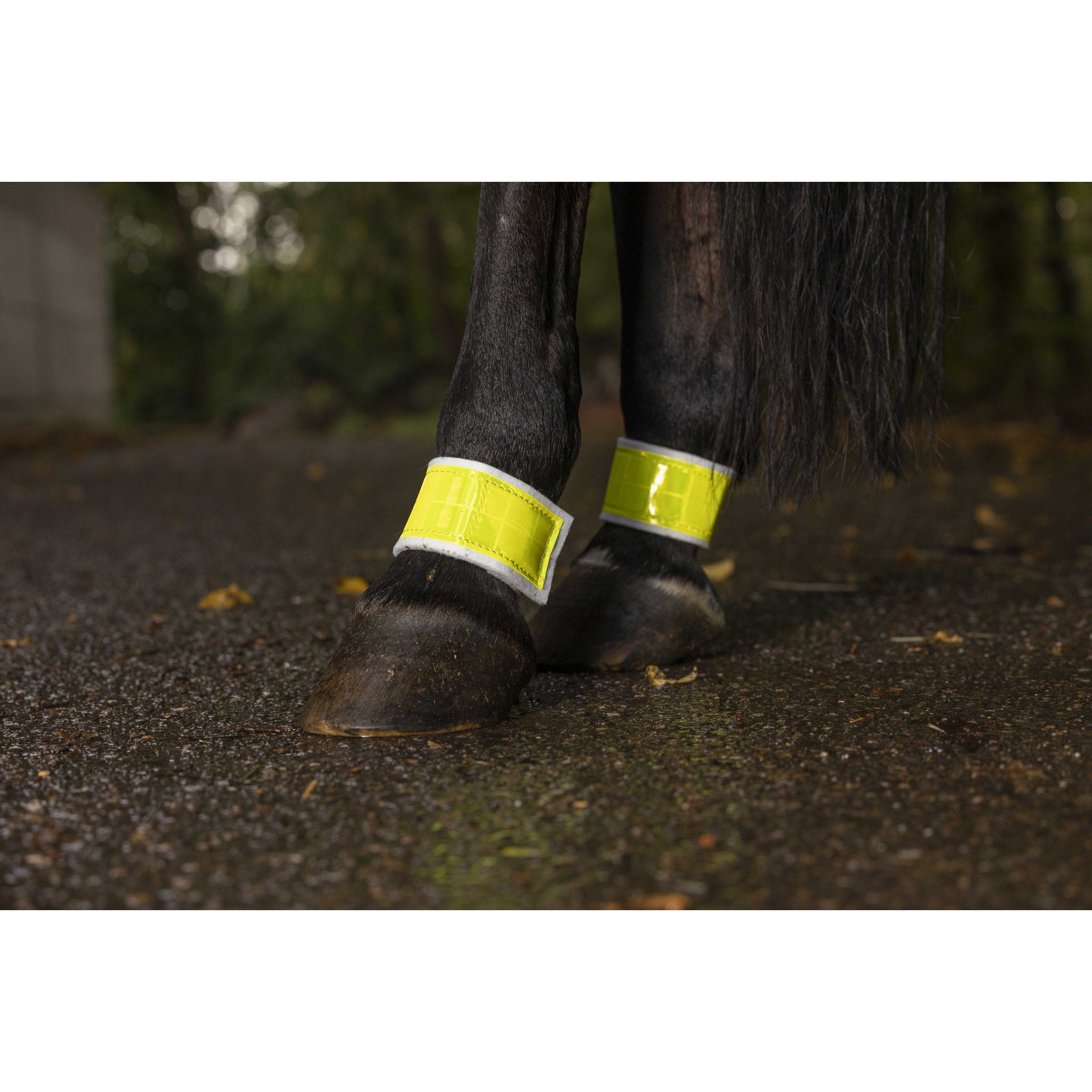 Norton Hindlegs fluorescent bandages Fluorescent yellow 930411
