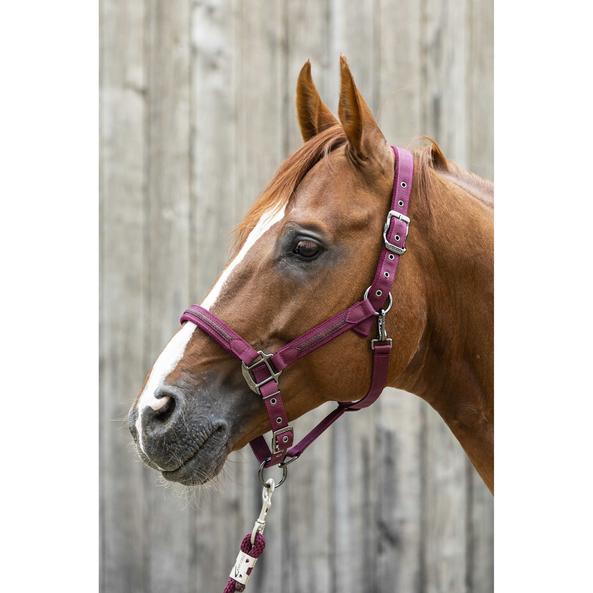 Lami-Cell Sparkling Halter - Burgundy - 555014233_ambi_1