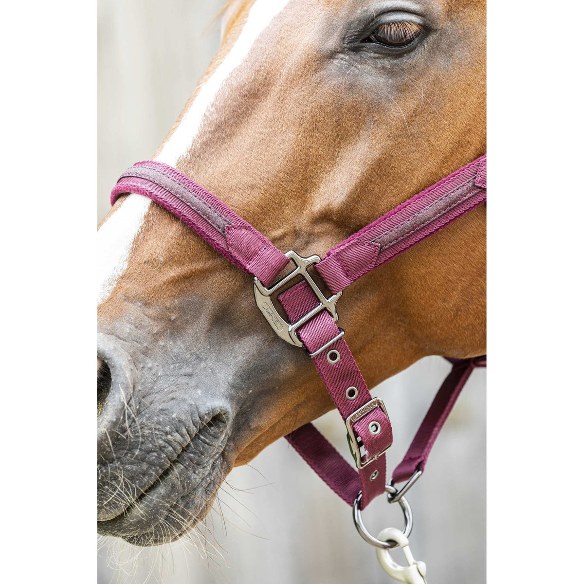 Lami-Cell Sparkling Halter - Burgundy - 555014233_ambi_3