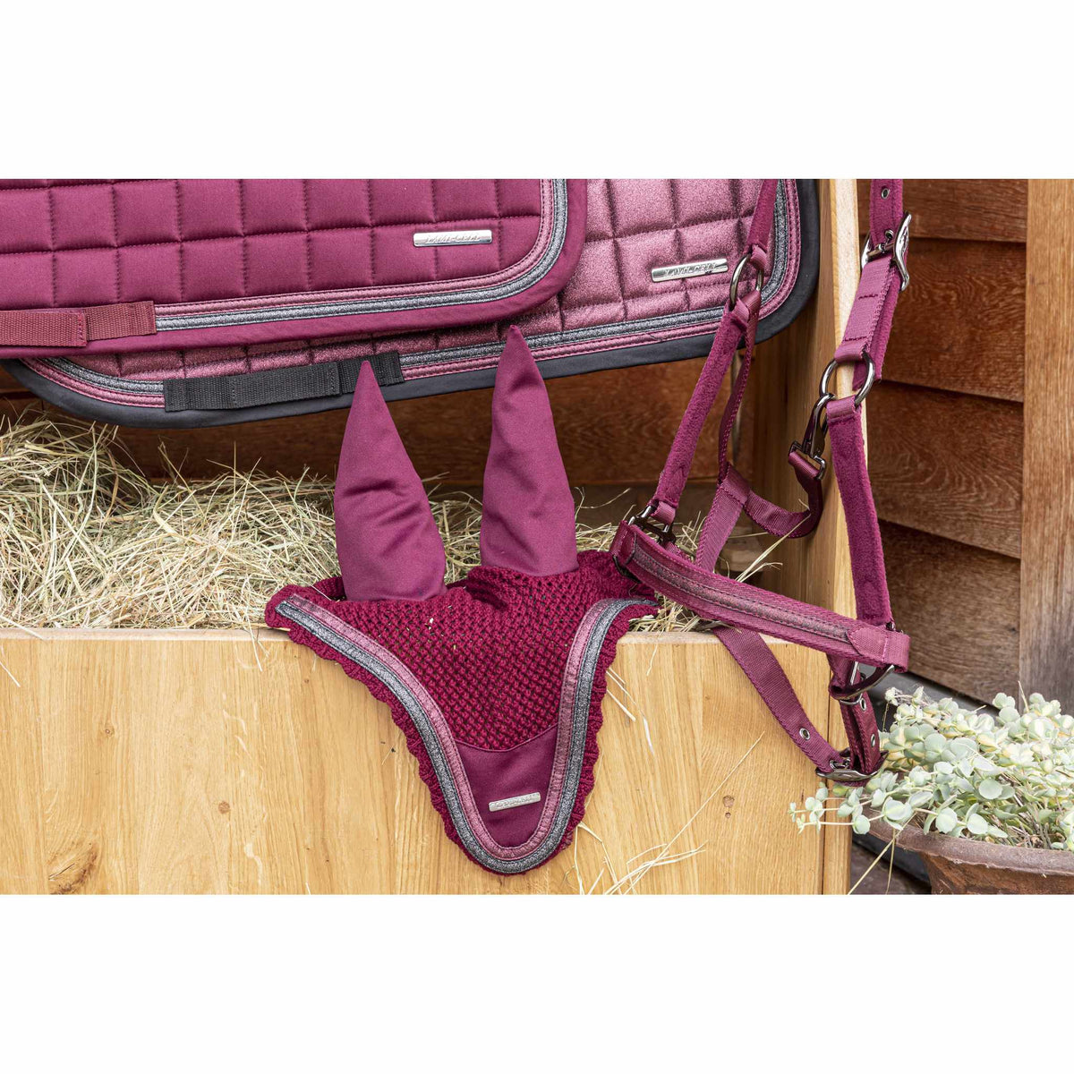 Lami-Cell Sparkling Halter - Burgundy - 555014233_ambi_5