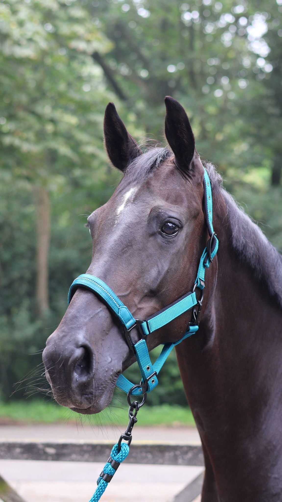 Lami-Cell Charming Halter Turquoise