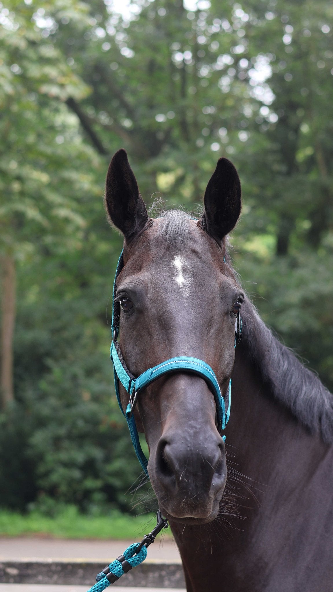 Lami-Cell Charming Halter Turquoise