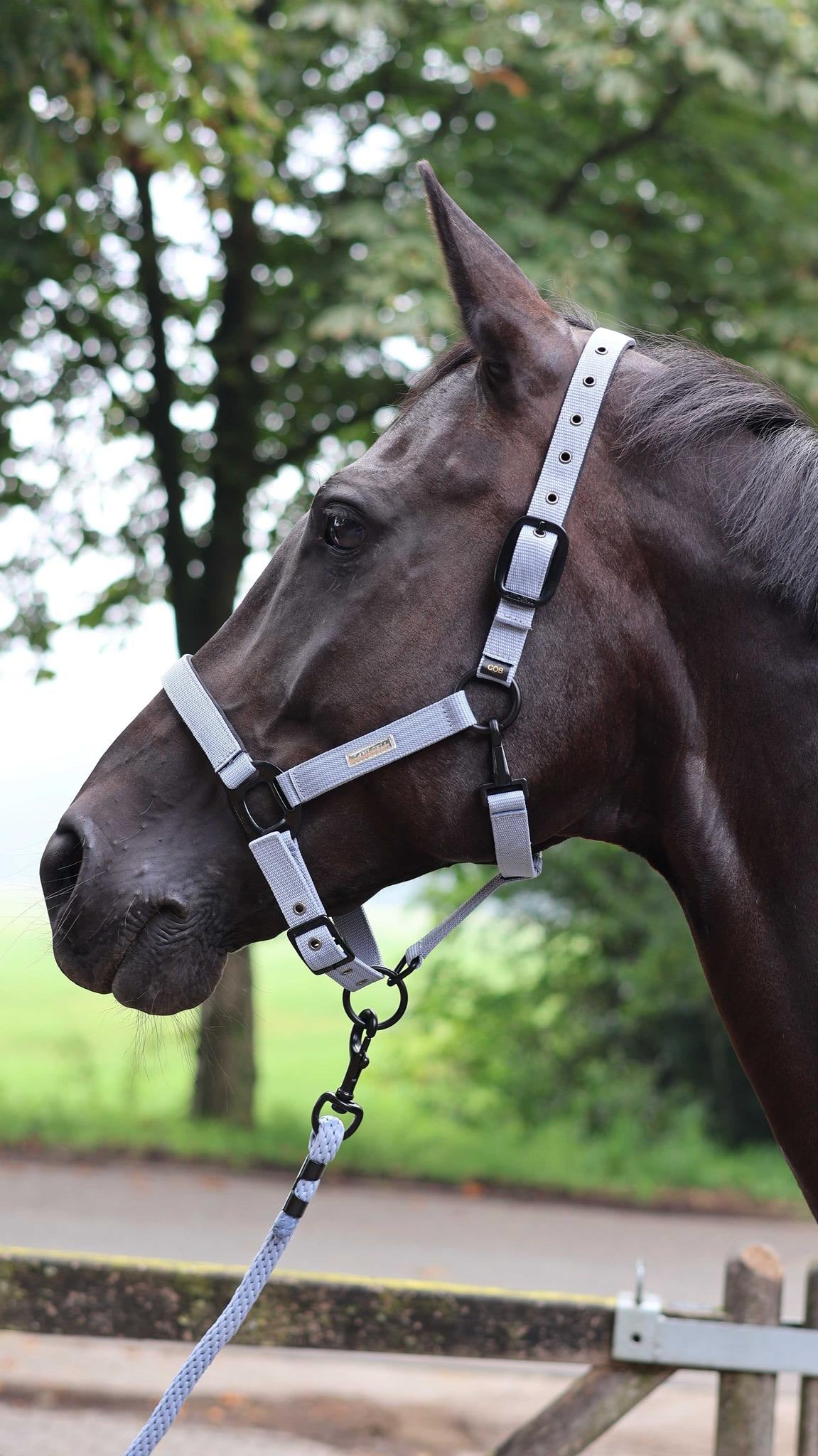 Lami-Cell Midnight Halter Dark grey