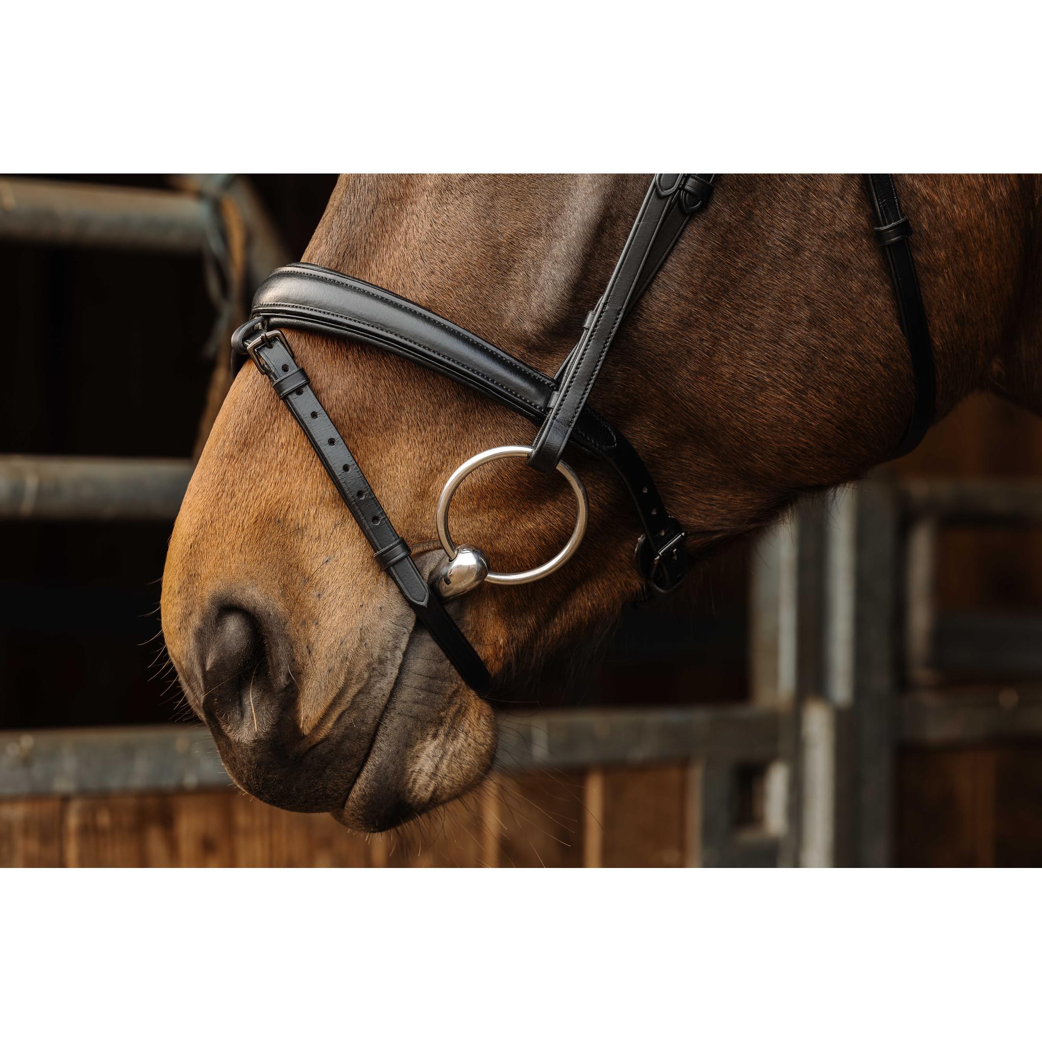 Norton Pro Dark Black Buckle Bridle Black 301897302