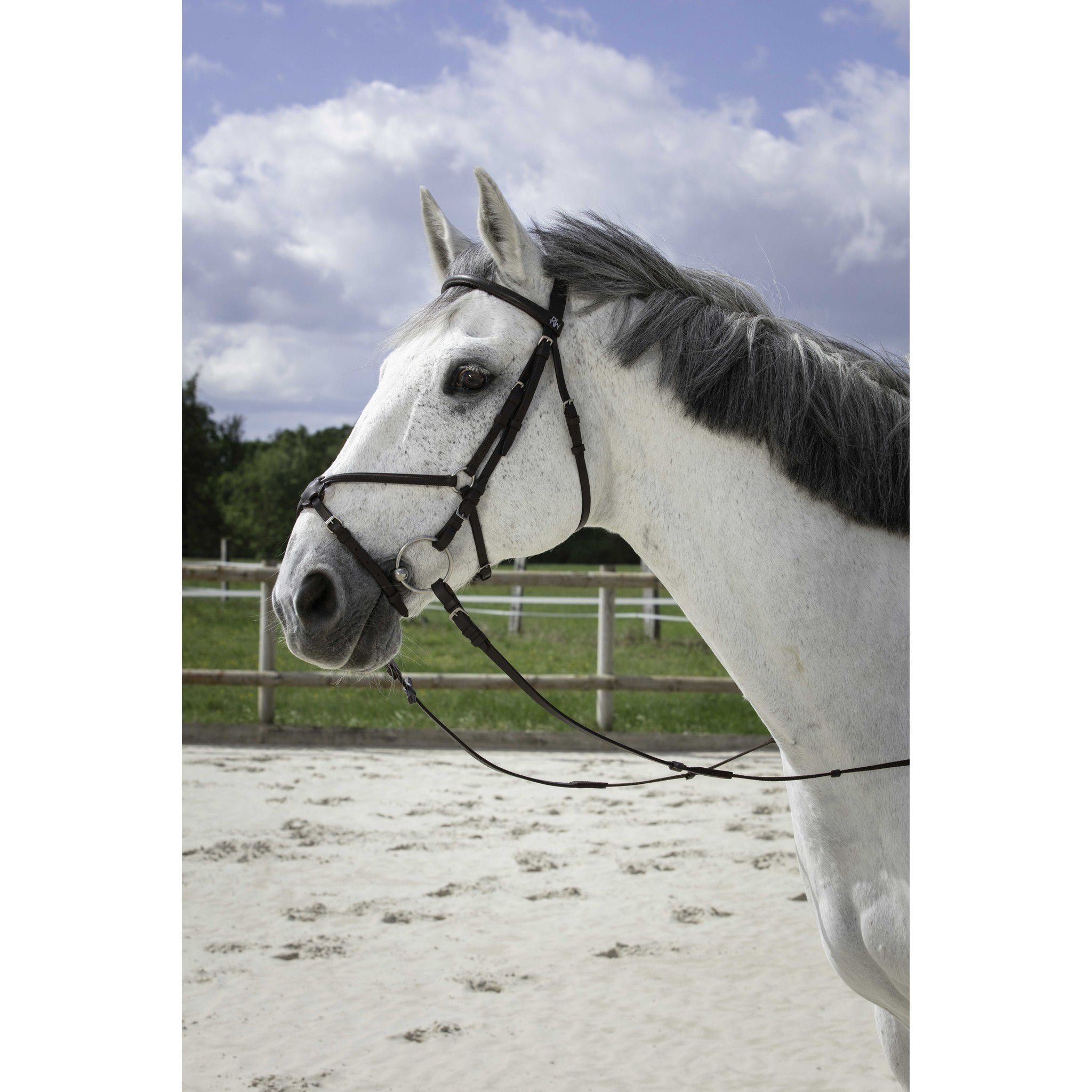 Riding World bridle flash noseband Havana 301005318