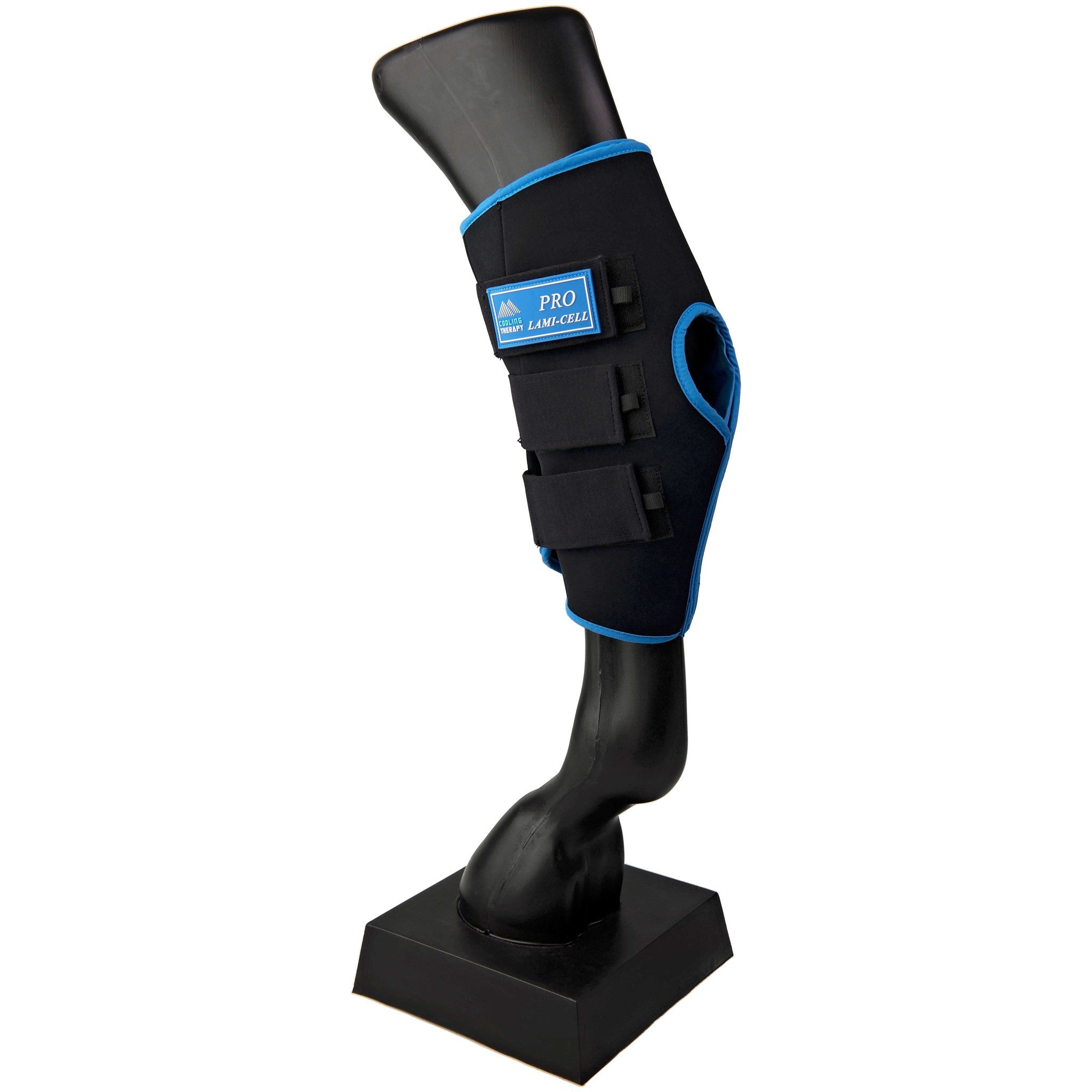 Lami-Cell Ice Boots hock guards Black/blue 541022326