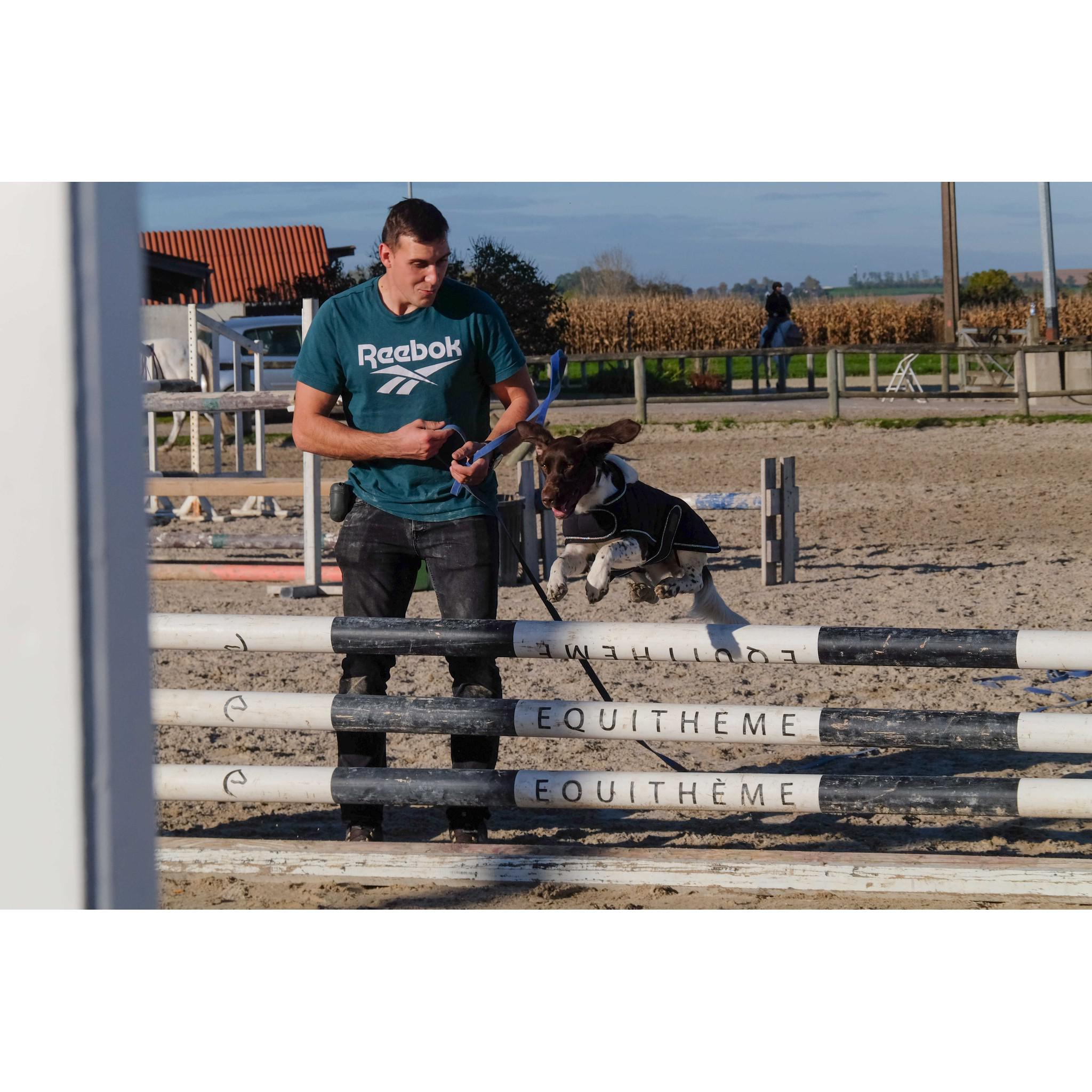 Je t'aime EQUITHÈME Velours dog rug Black 409037240