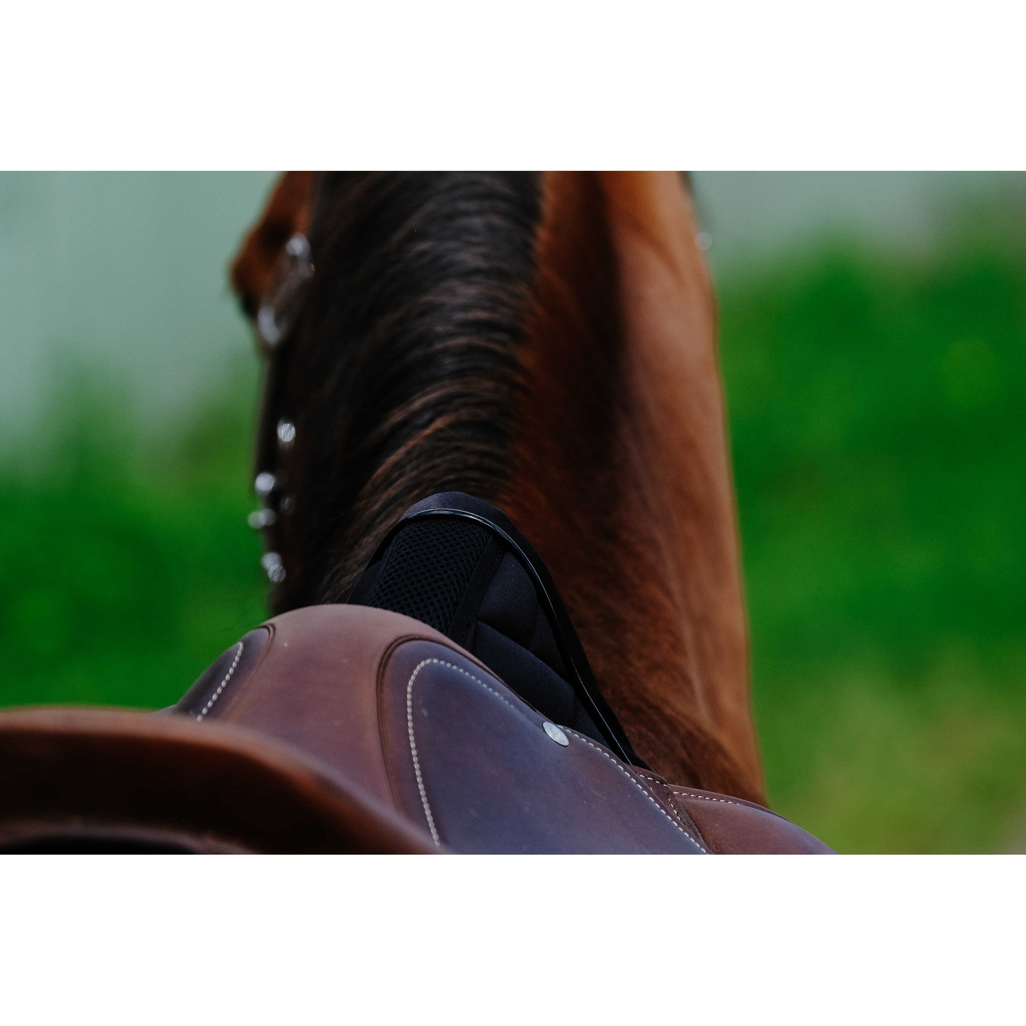 EQUITHÈME Impulsion Saddle Pad - All purpose Black 204006002