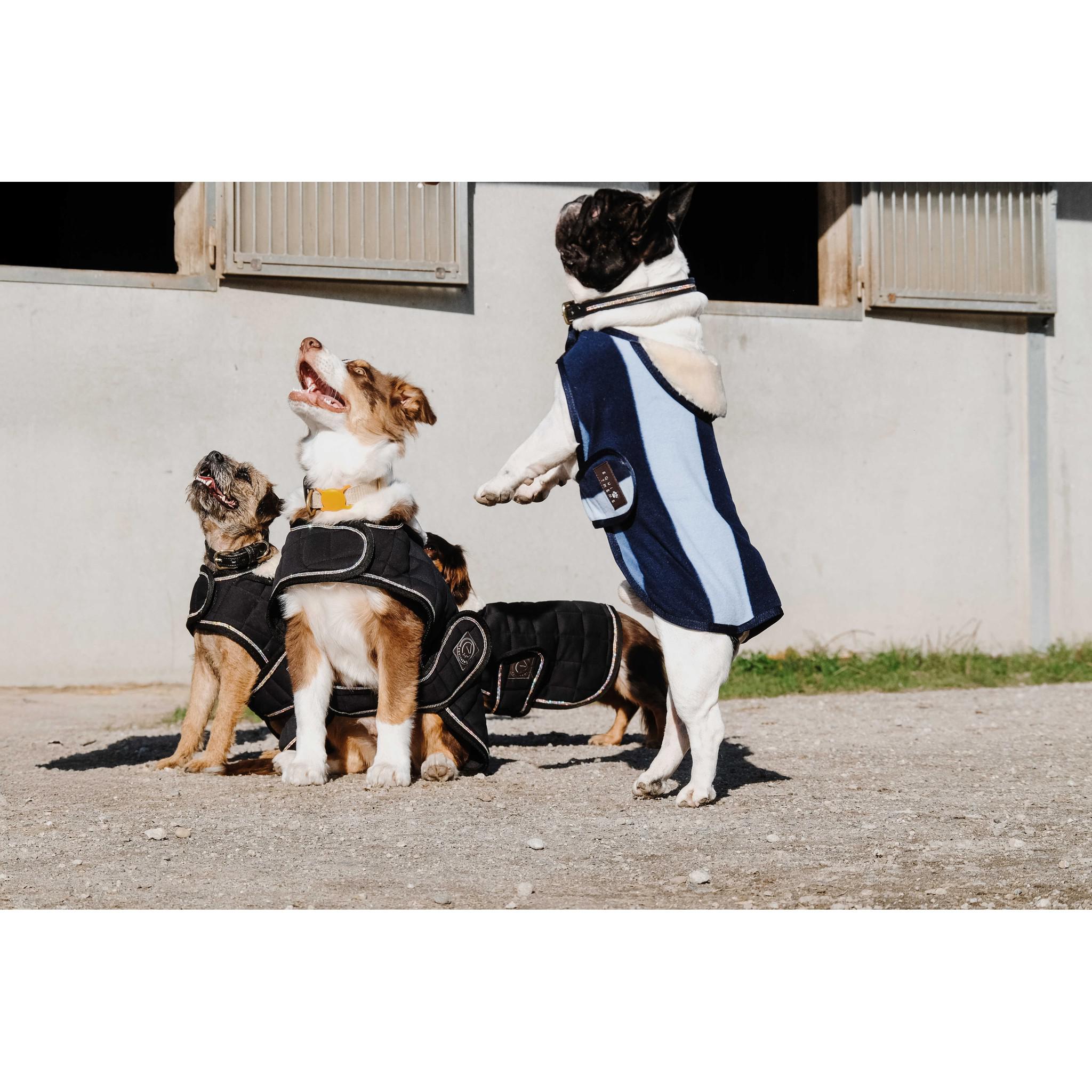 EQUITHÈME New Market Dog Rug Navy blue 409033740