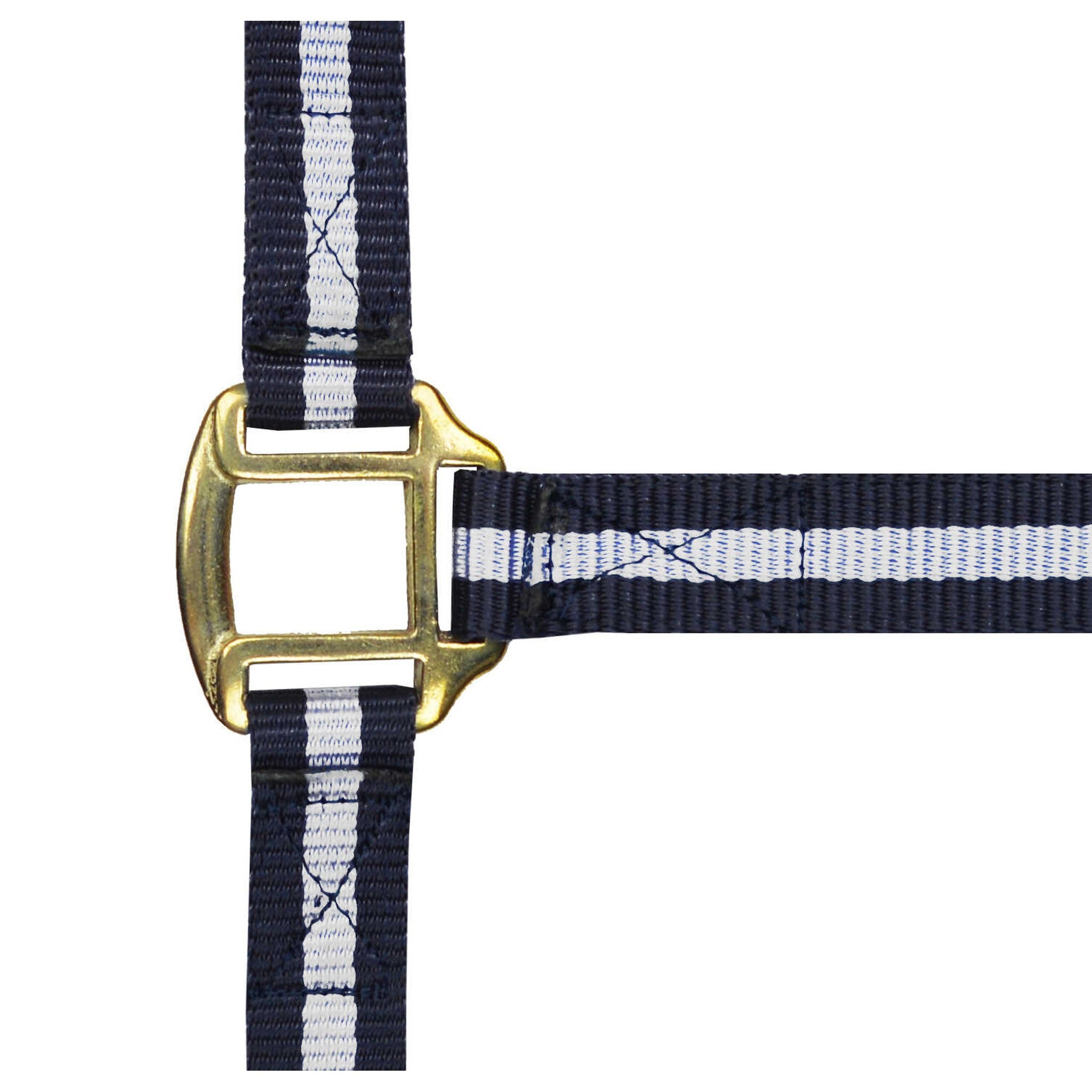 Norton Leather lined nylon headcollar Navy/white 510185716
