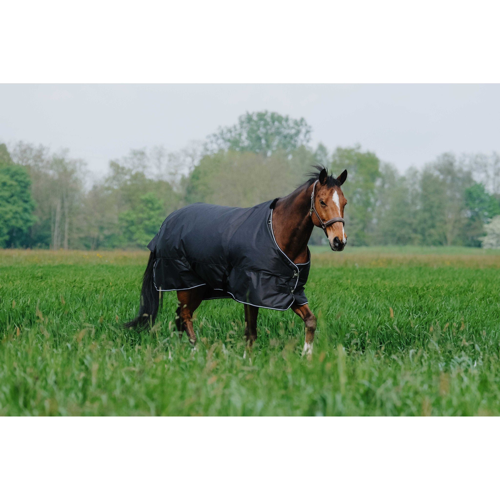 EQUITHÈME Tyrex 600D Turnout Sheet - Standard Black 400552263