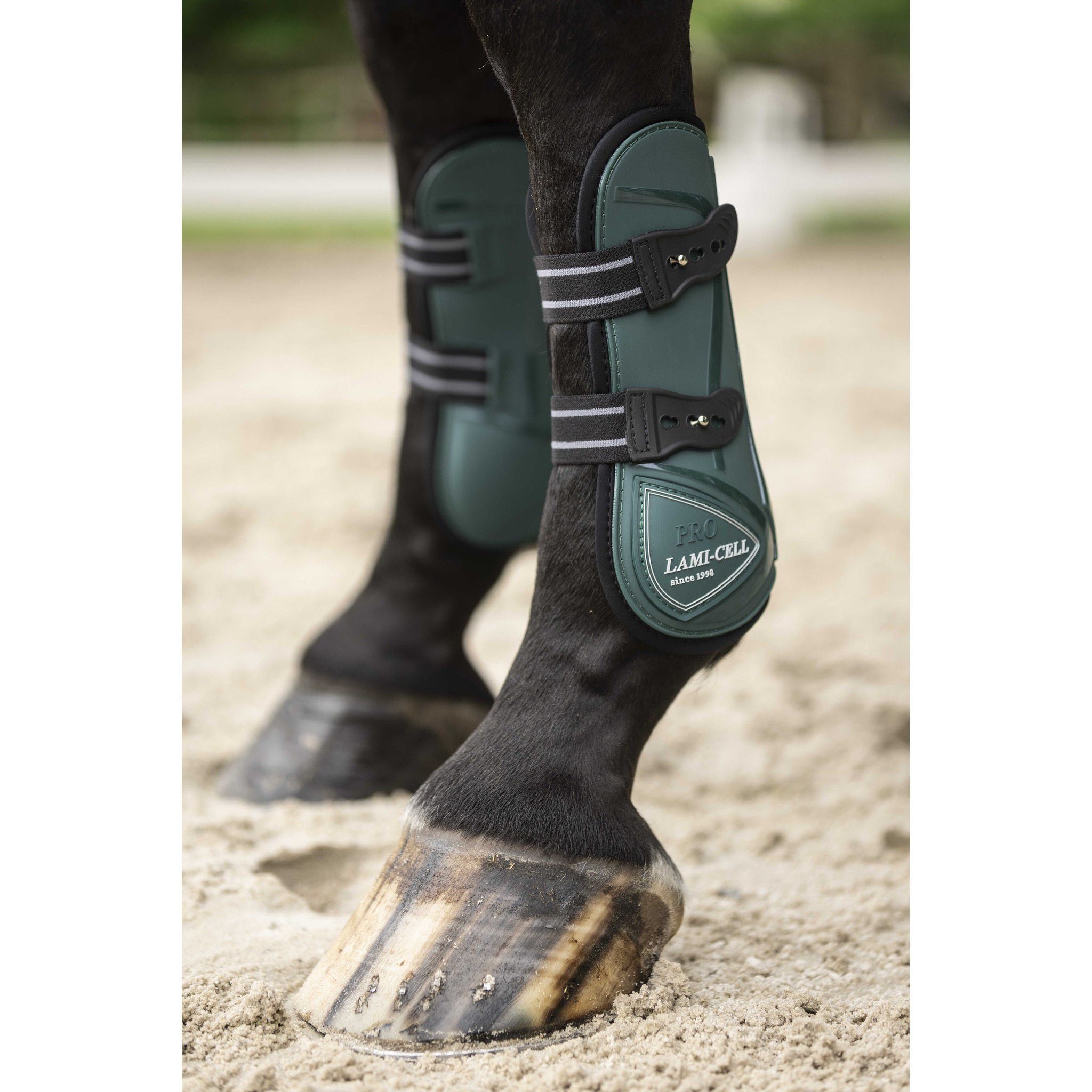 Lami-Cell Elite Fetlock and Tendon Boots Dark green 550141309