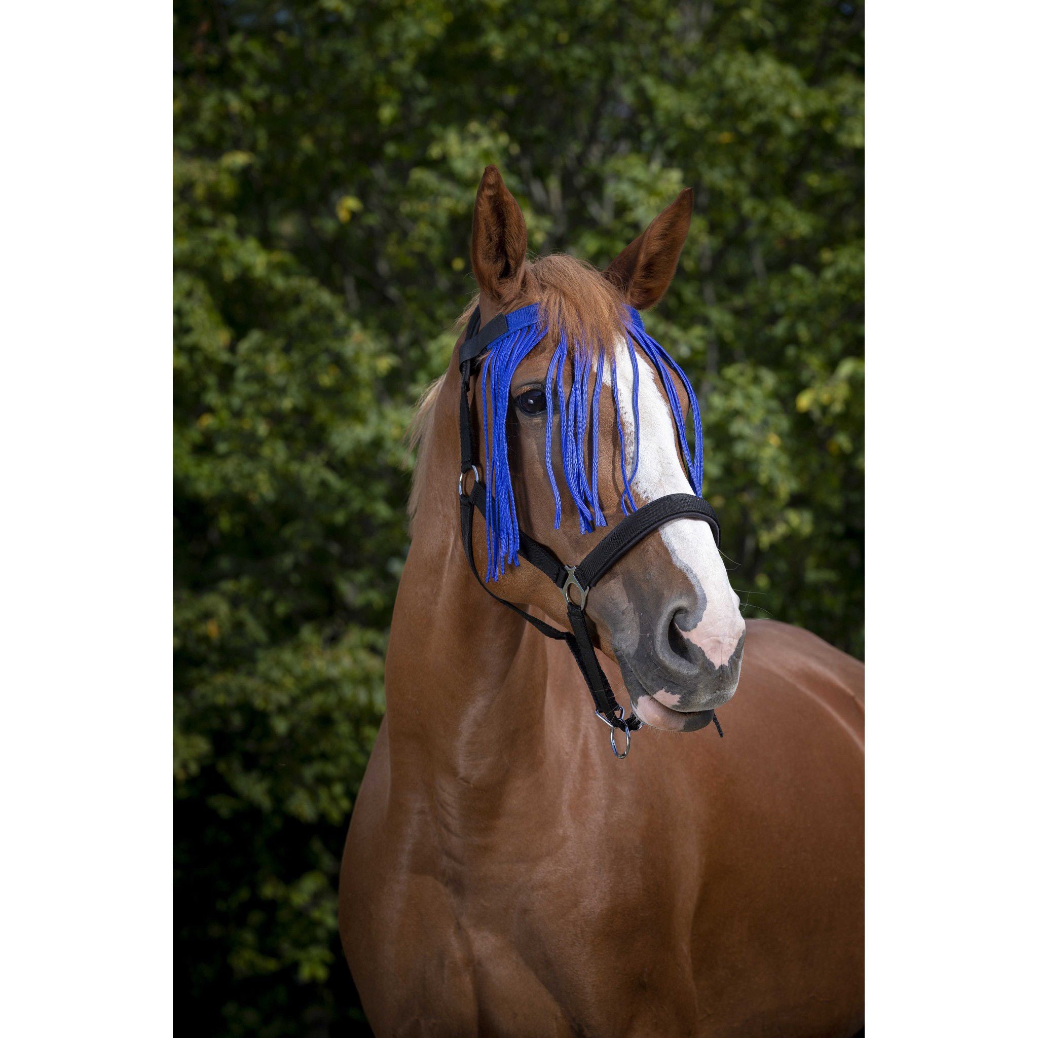 Norton bowband with fly fringes Royal blue 306730306