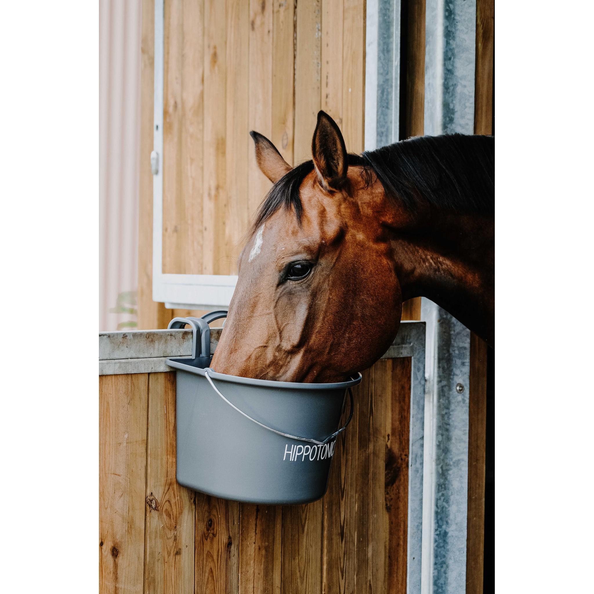 Hippo-Tonic Feeder with Hooks and Handle Dark grey 704199031