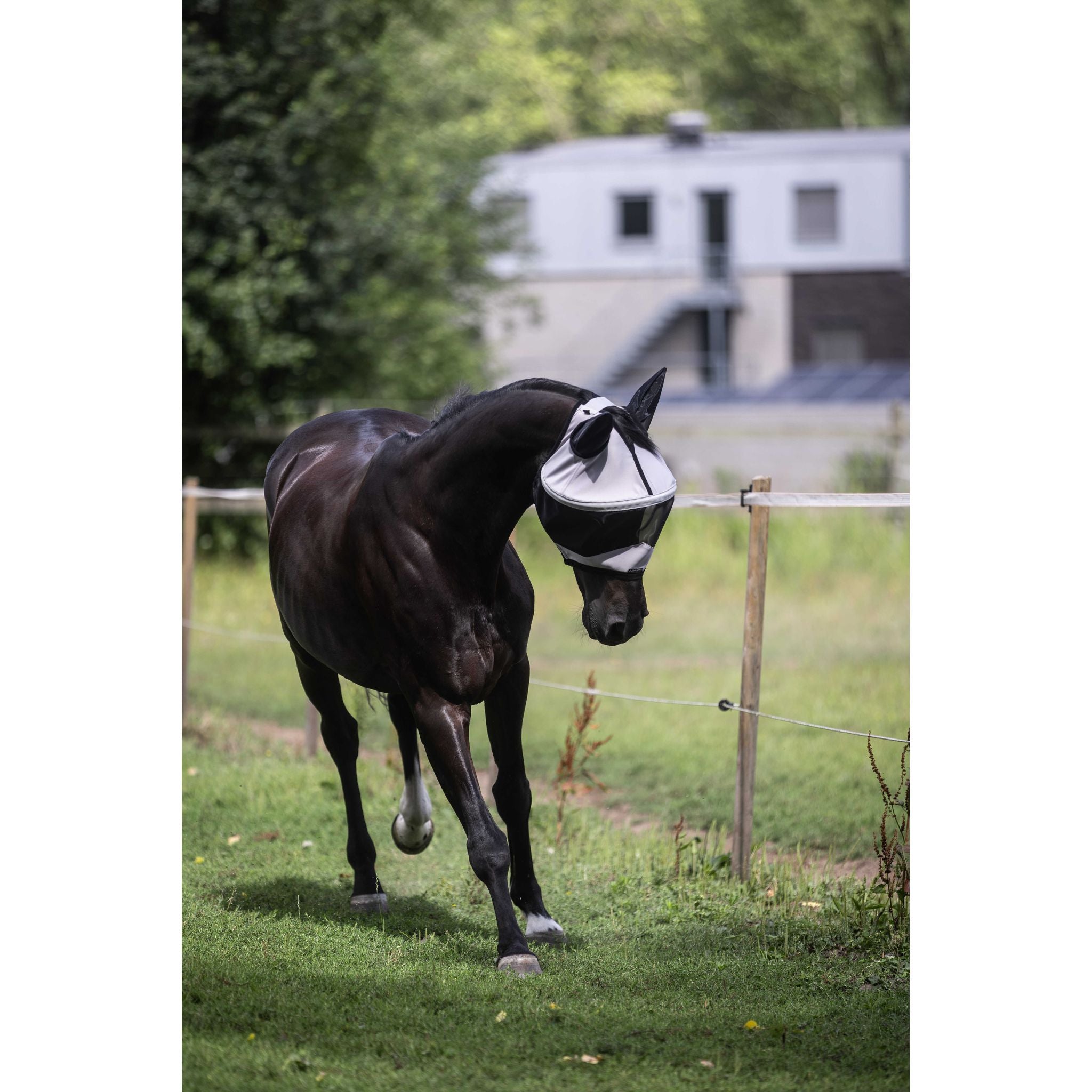 LAMI-CELL Easyfit Fly Mask Grey - 306048311_ambi_7