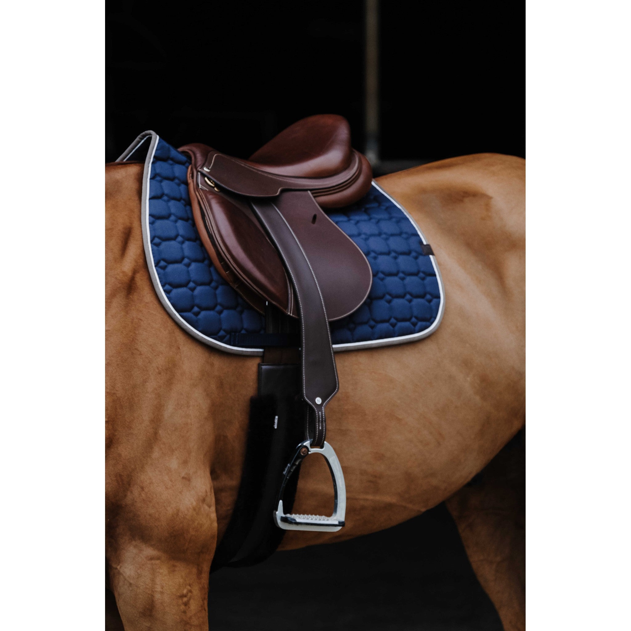 EQUITHÈME Orion saddle pad - All purpose Navy blue 204774007
