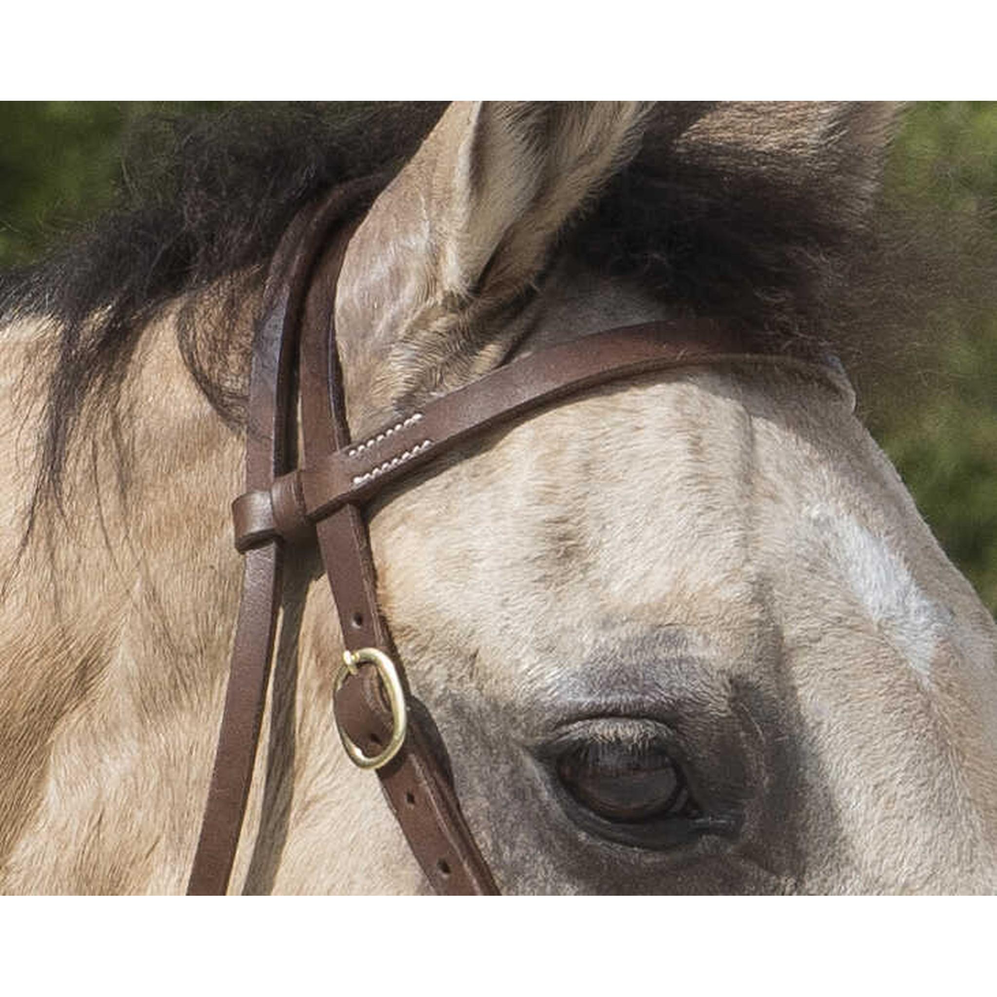 Westride Colorado Bridle by Franck Perret Chocolate 802062318