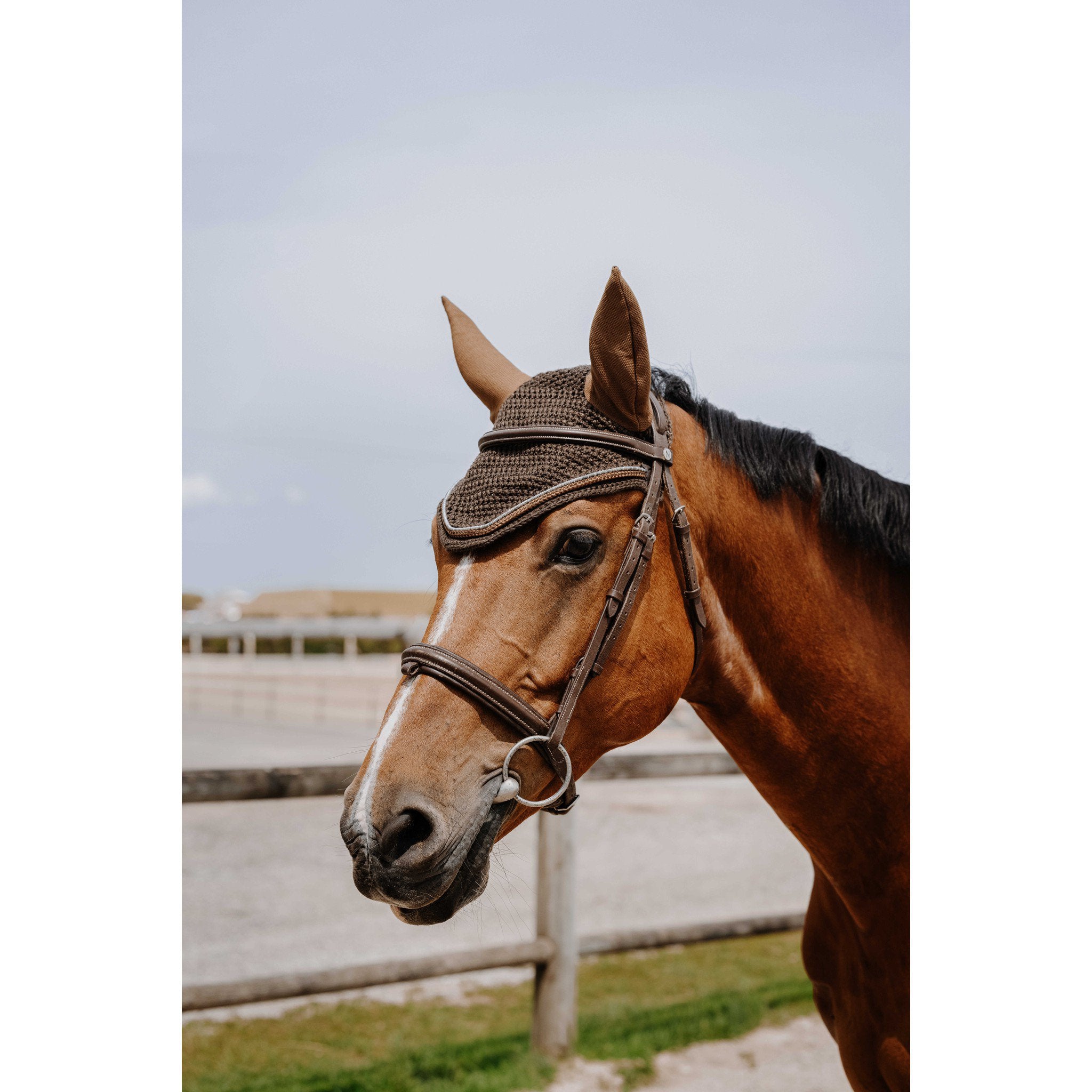 EQUITHÈME Hexalight fly veil chestnut brown 306882004