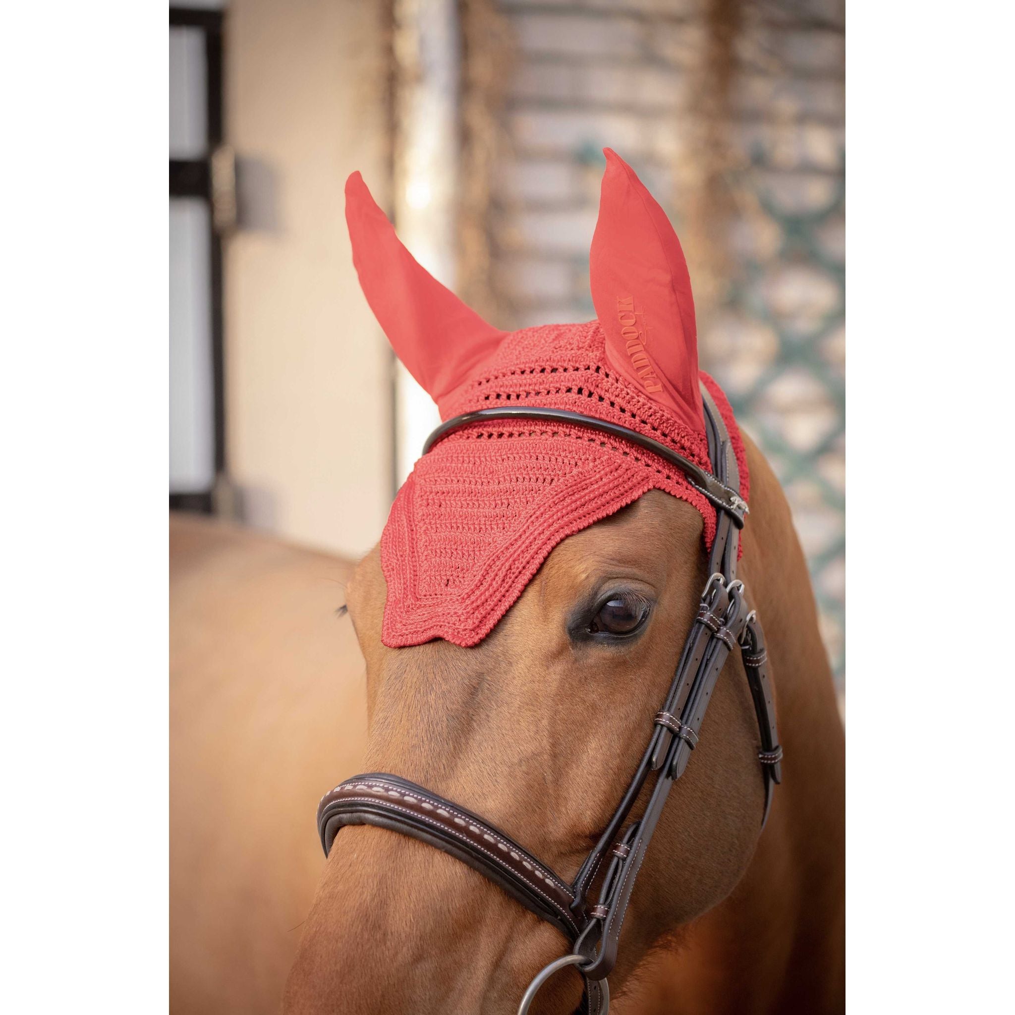 Paddock Sports Prem's Fly Veil Red - 306969303_ambi_3