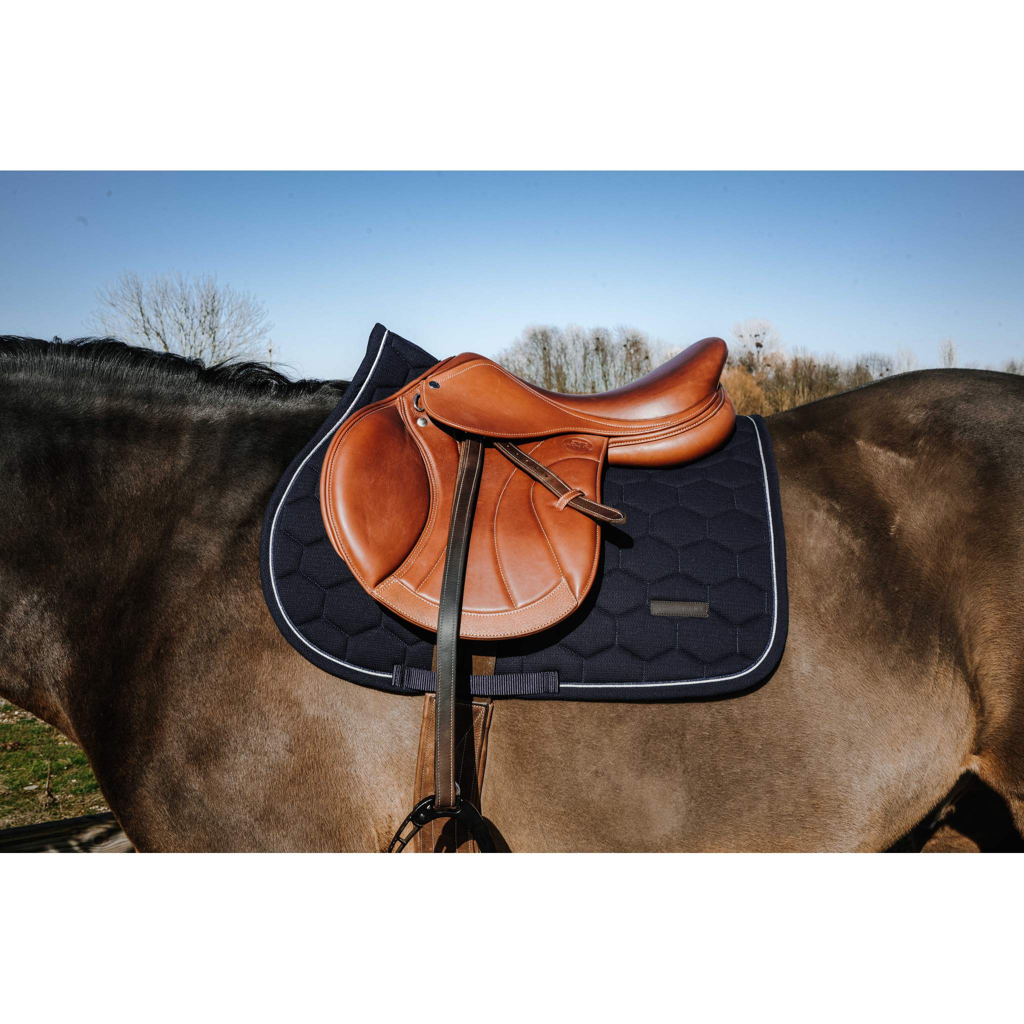 EQUITHÈME All-Purpose Saddle Pad - Honey Navy blue - 204028007_ambi_1